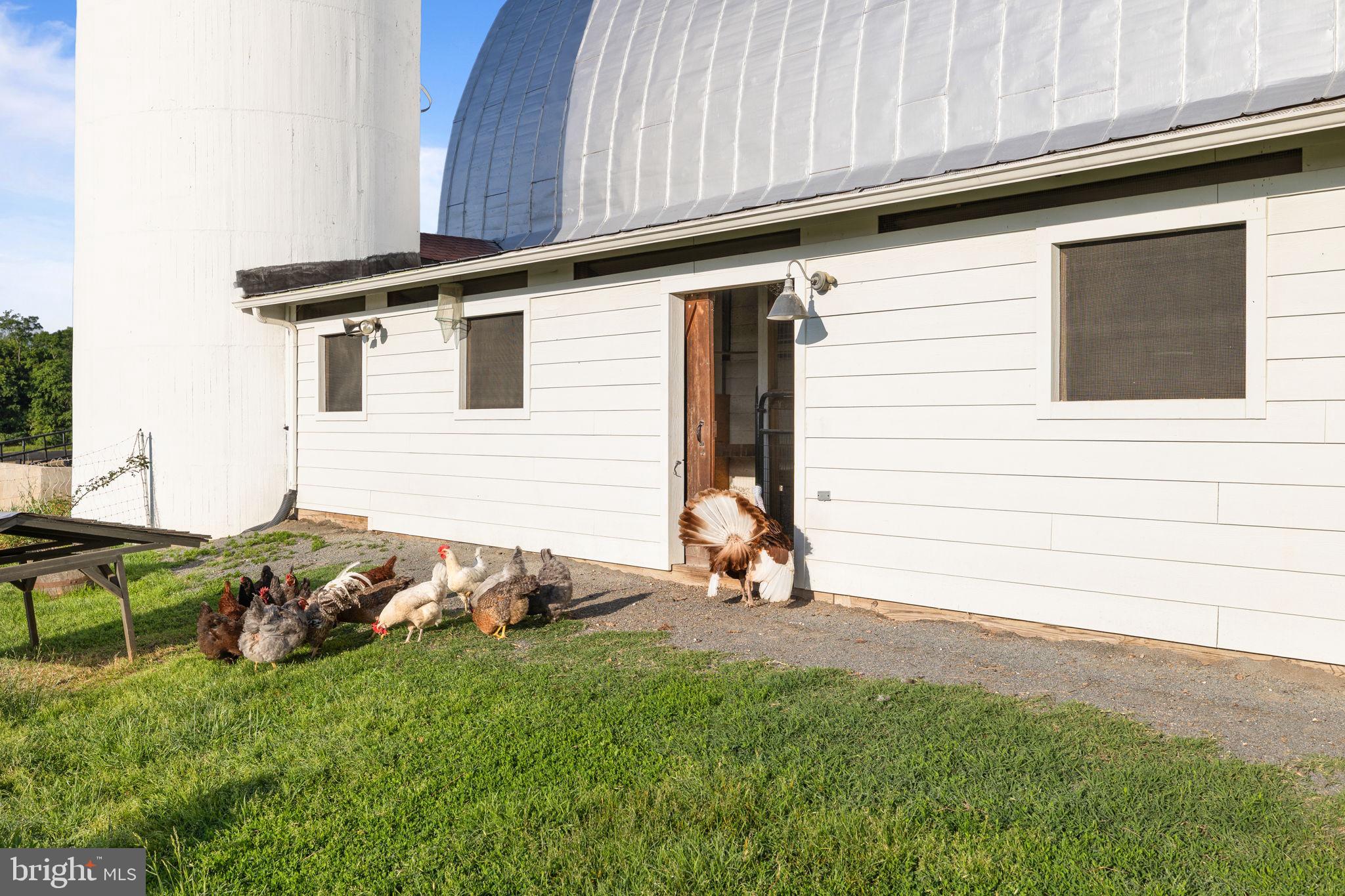 CULPEPER COUNTY - Farm