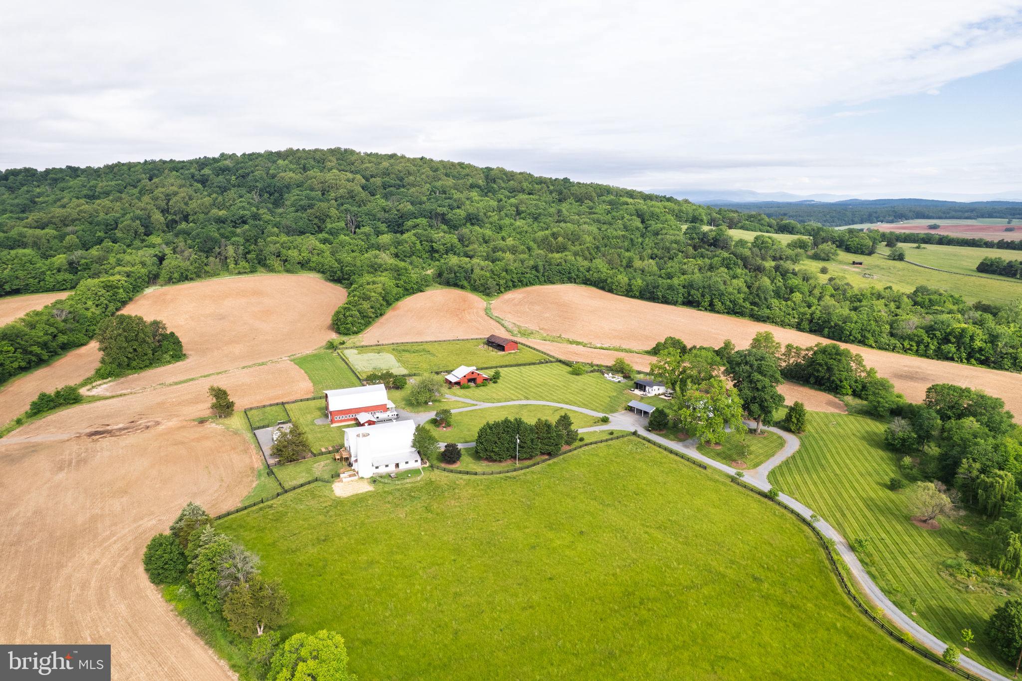 CULPEPER COUNTY - Farm