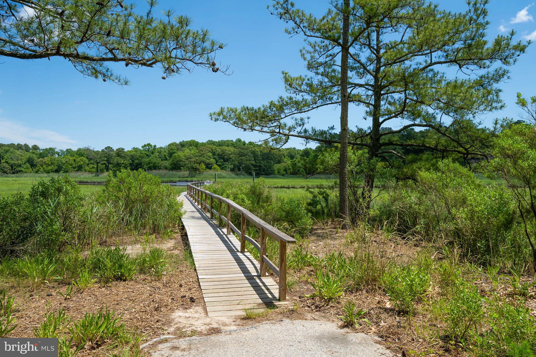 BLACKWATER VILLAGE - Residential