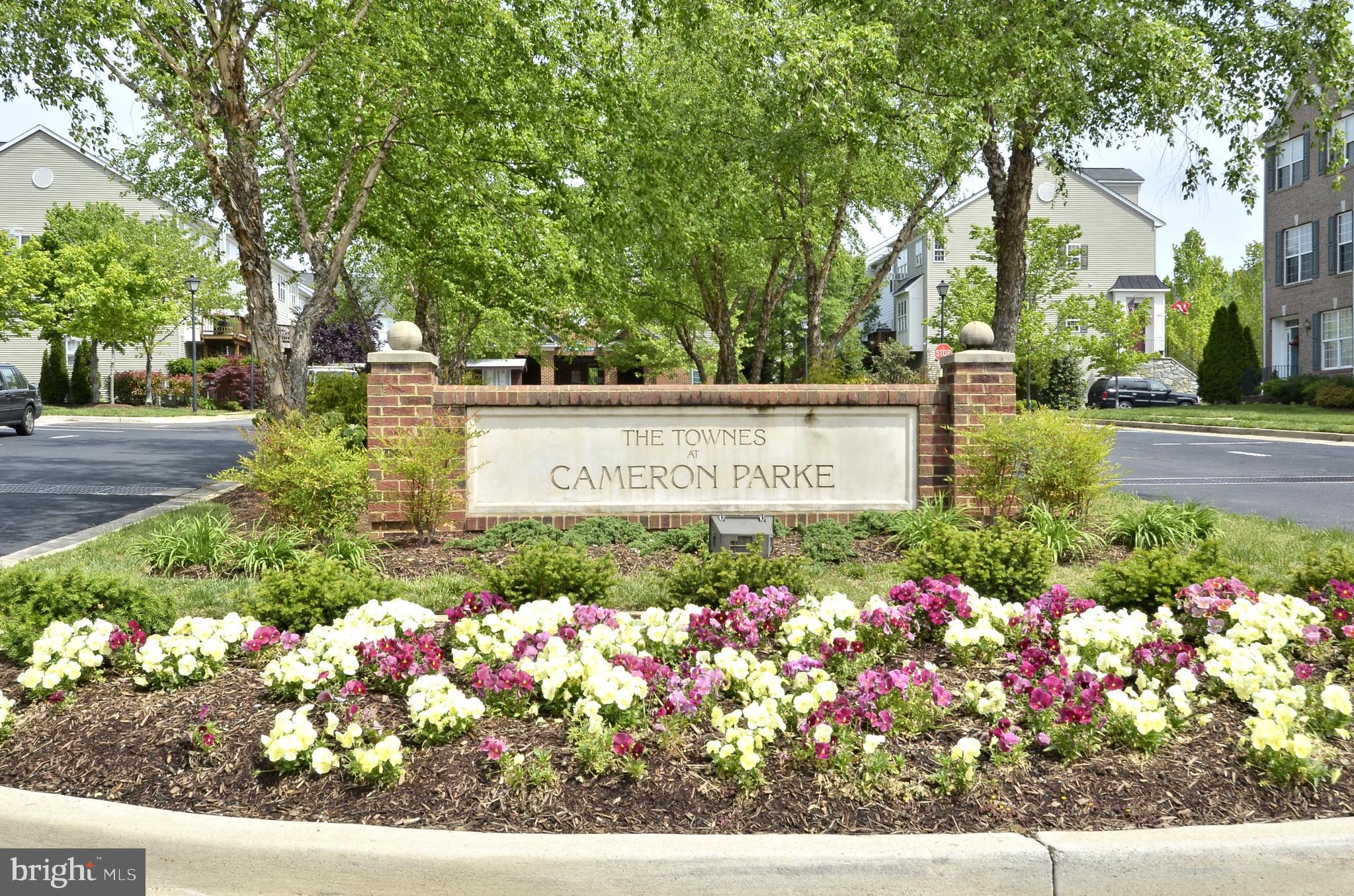 TOWNES AT CAMERON PARKE - Residential