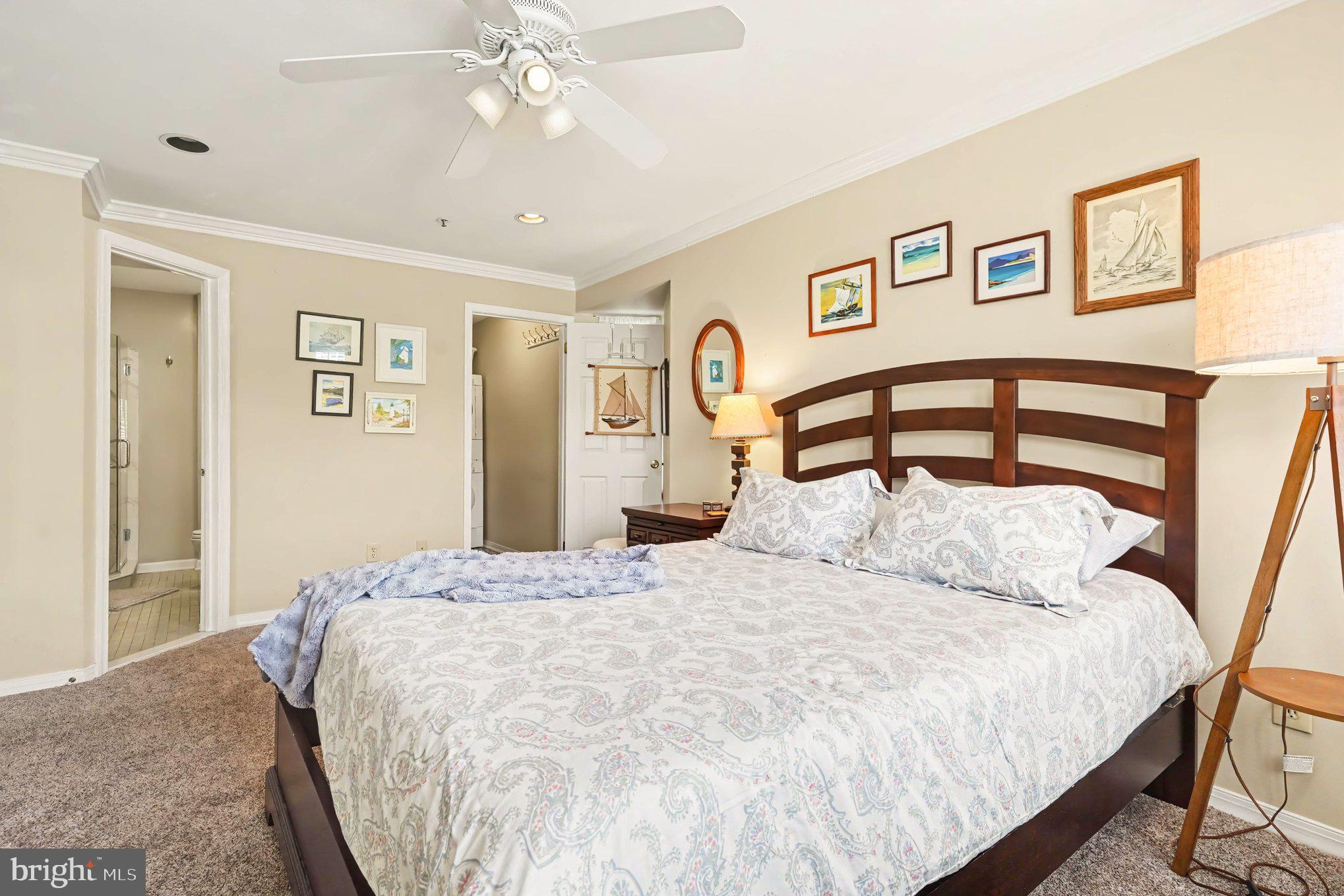 CANVASBACK COVE - Residential