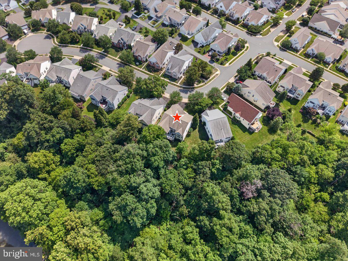 BRAEMAR - Residential