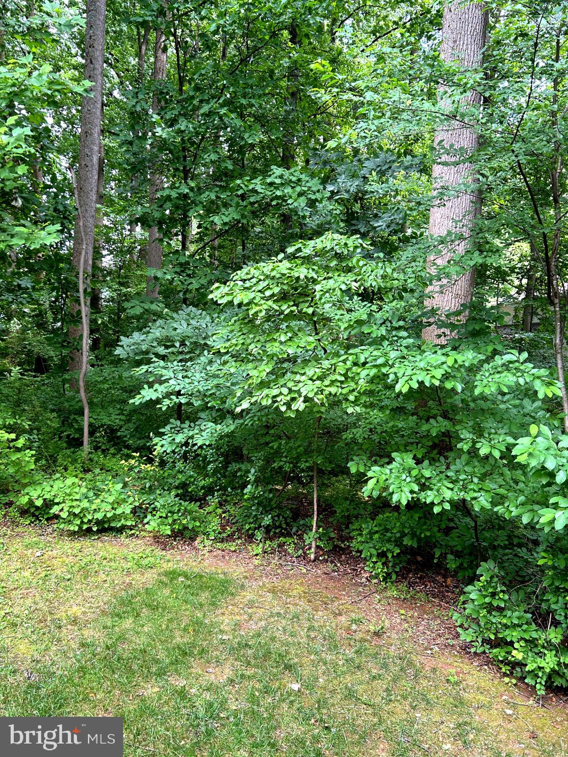 TRAILS AT WOODLOT - Residential