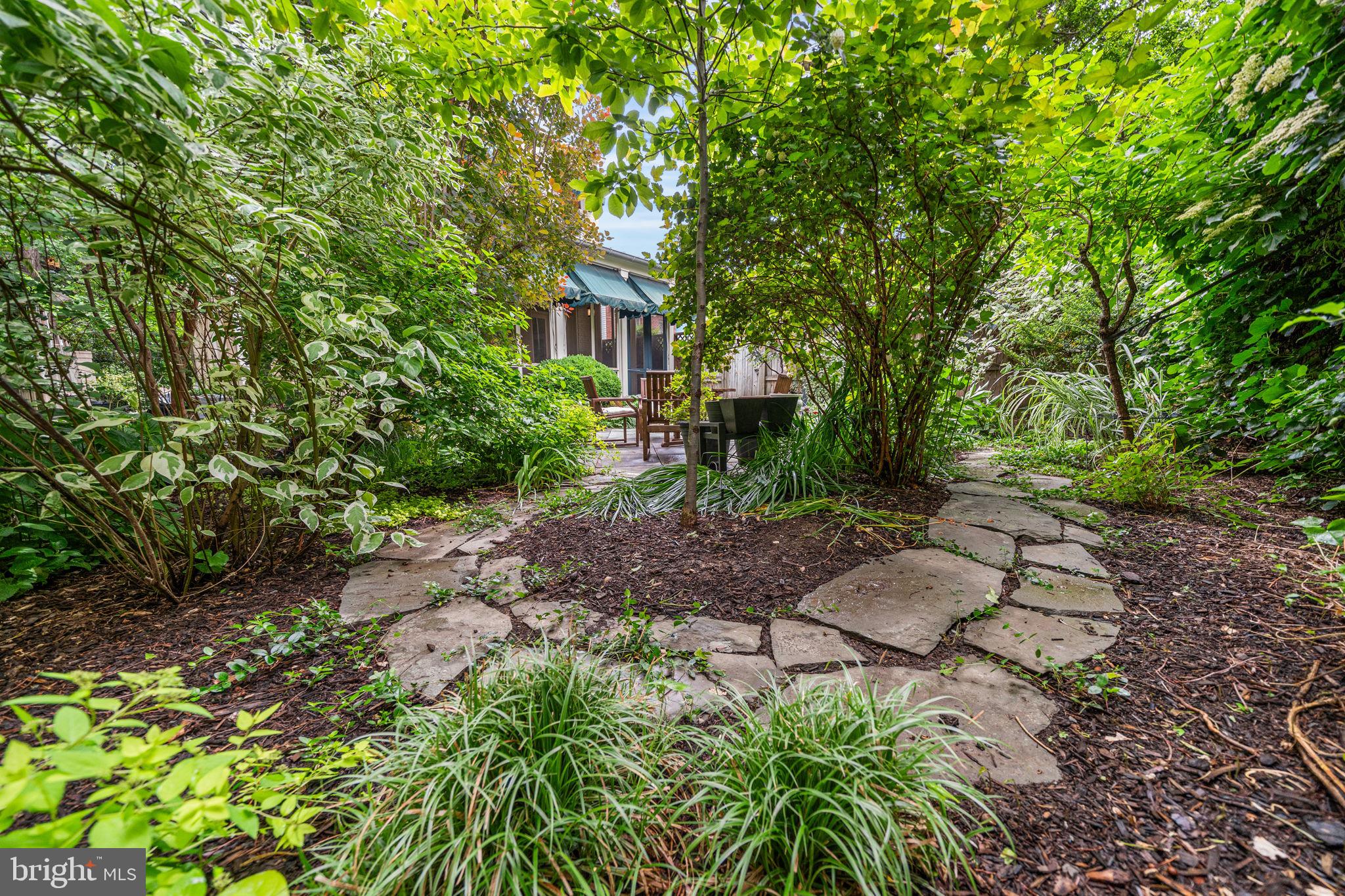 CAPITOL HILL - Residential
