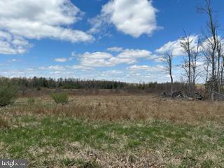 MT STORM, WV - BUILD YOUR NEW GETAWAY ON THIS 10.13 ACRE TRACT WITH TONS OF FRONTAGE ON CHERRY RIDGE ROAD. PARTIALLY WOODED. LEVEL TO GENTLY-GRADUAL SLOPED TOPOGRAPHY. PUBLIC WATER AND ELECTRIC ON SITE! UNRESTRICTED! PER TEST APPROVED. SHORT DRIVE TO CORRIDOR H (RT.48) AND MT STORM LAKE. VERY CLOSE PROXIMITY TO MOUNTAINTOP HUNT CLUB.