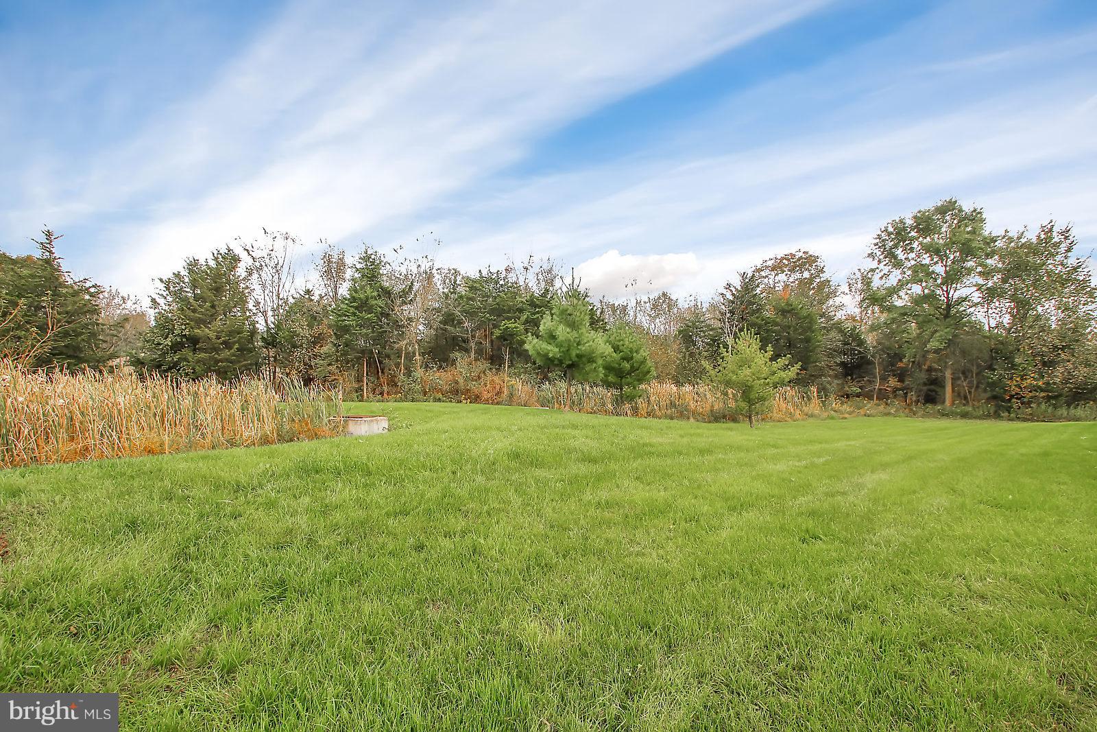 THE MEADOWS - Residential