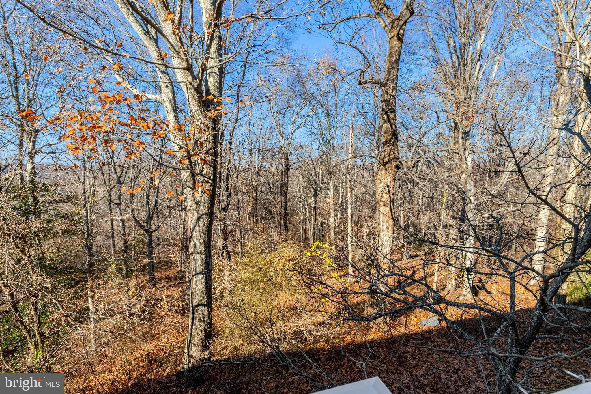 THE PRESERVE AT PISCATAWAY - Residential