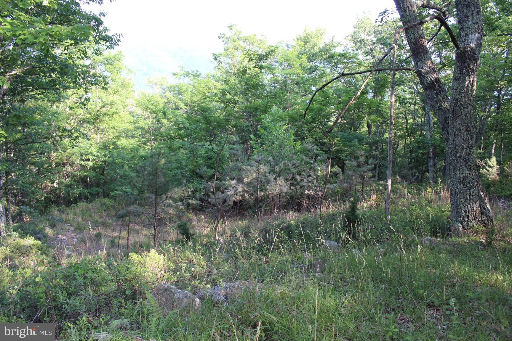 HIGH VALLEY SUBDIVISION - Land