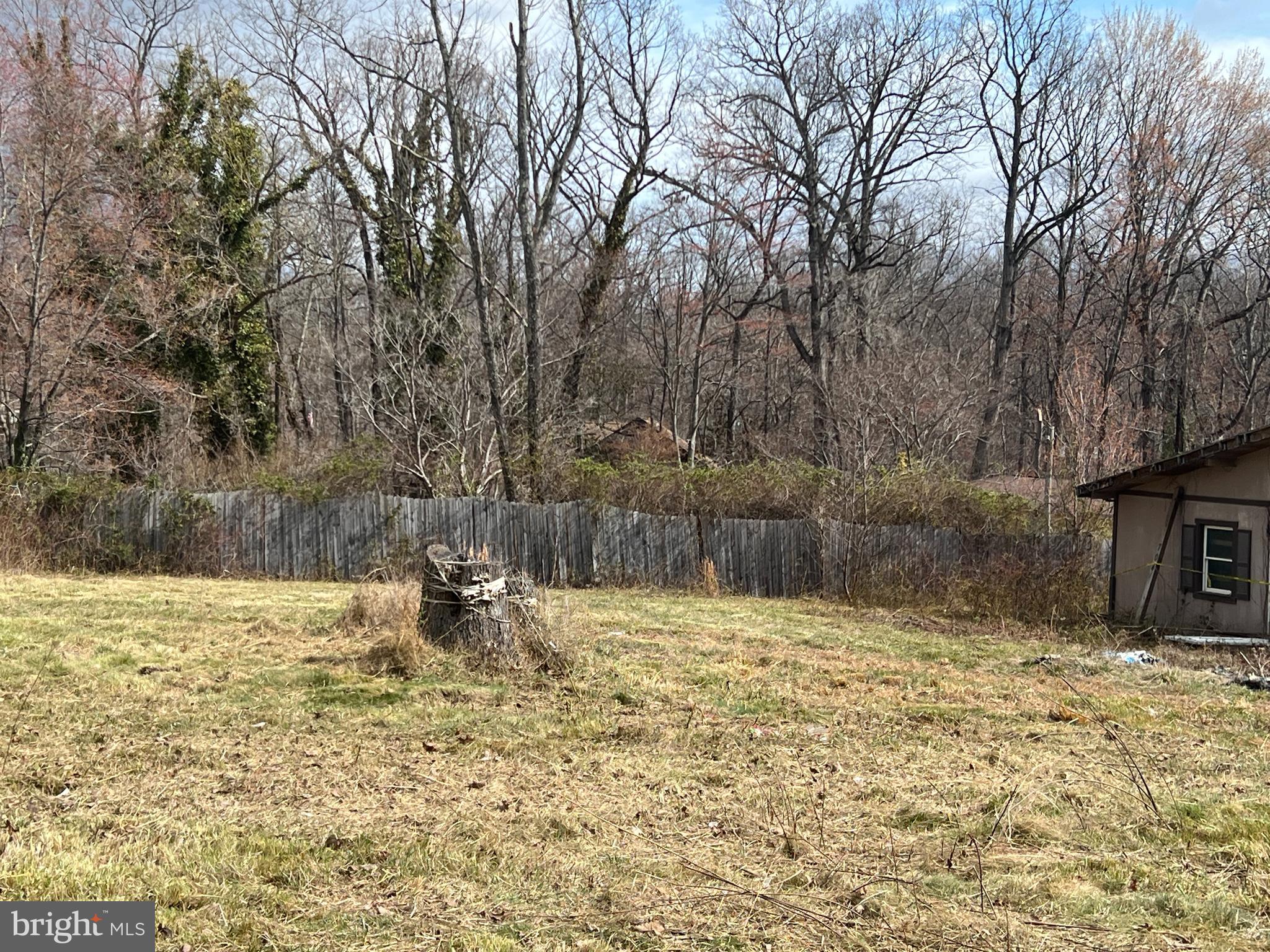 SHEN FARMS MT LAKE - Land