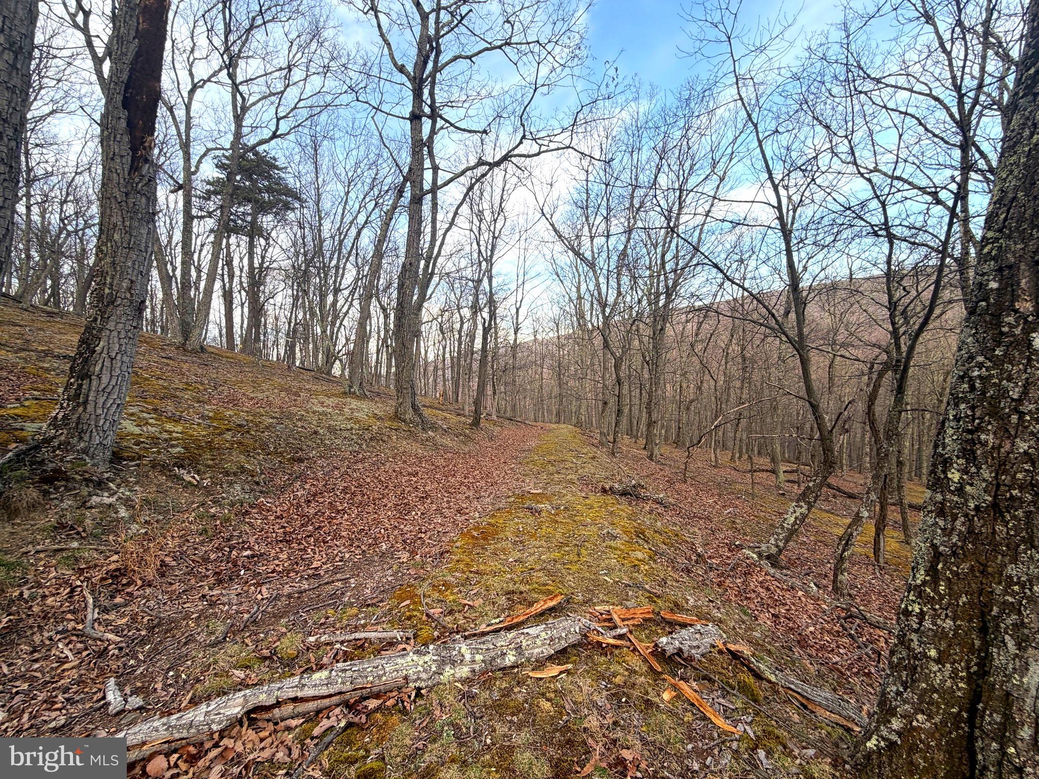 THE PRESERVE AT NEW CREEK LAKE - Land