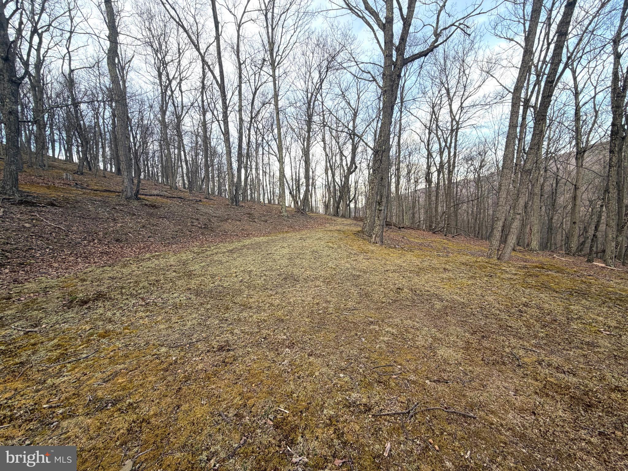 THE PRESERVE AT NEW CREEK LAKE - Land