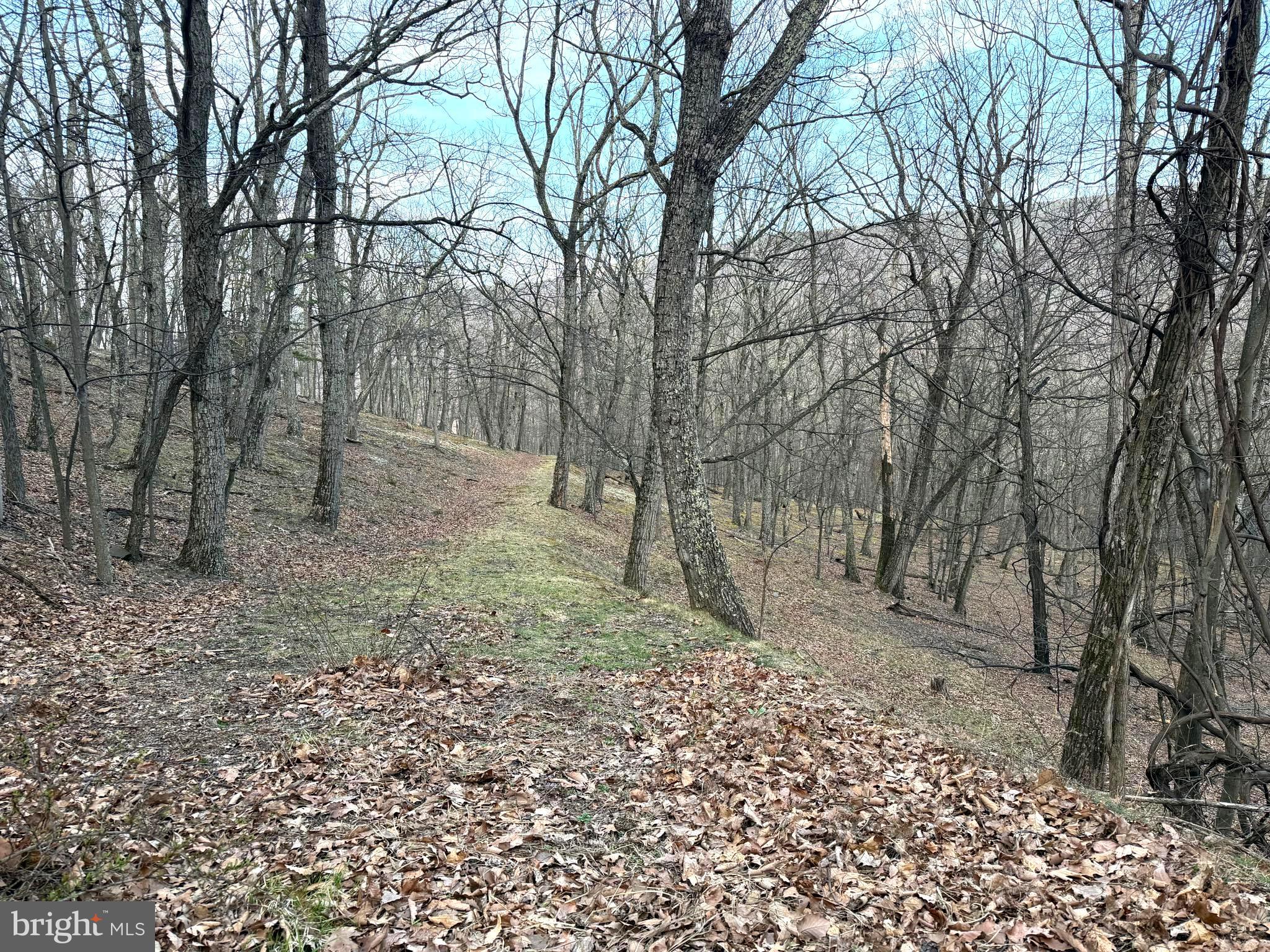 THE PRESERVE AT NEW CREEK LAKE - Land
