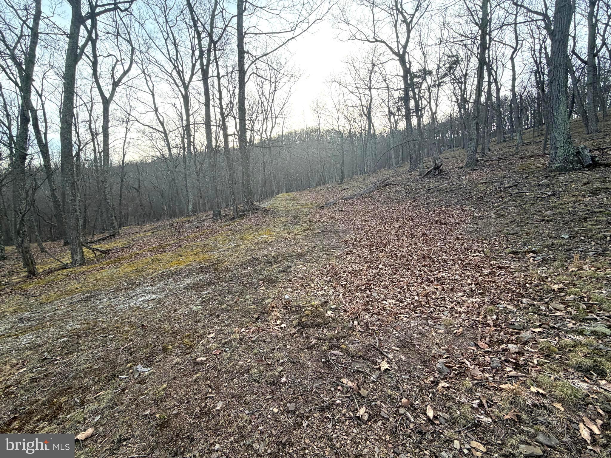 THE PRESERVE AT NEW CREEK LAKE - Land