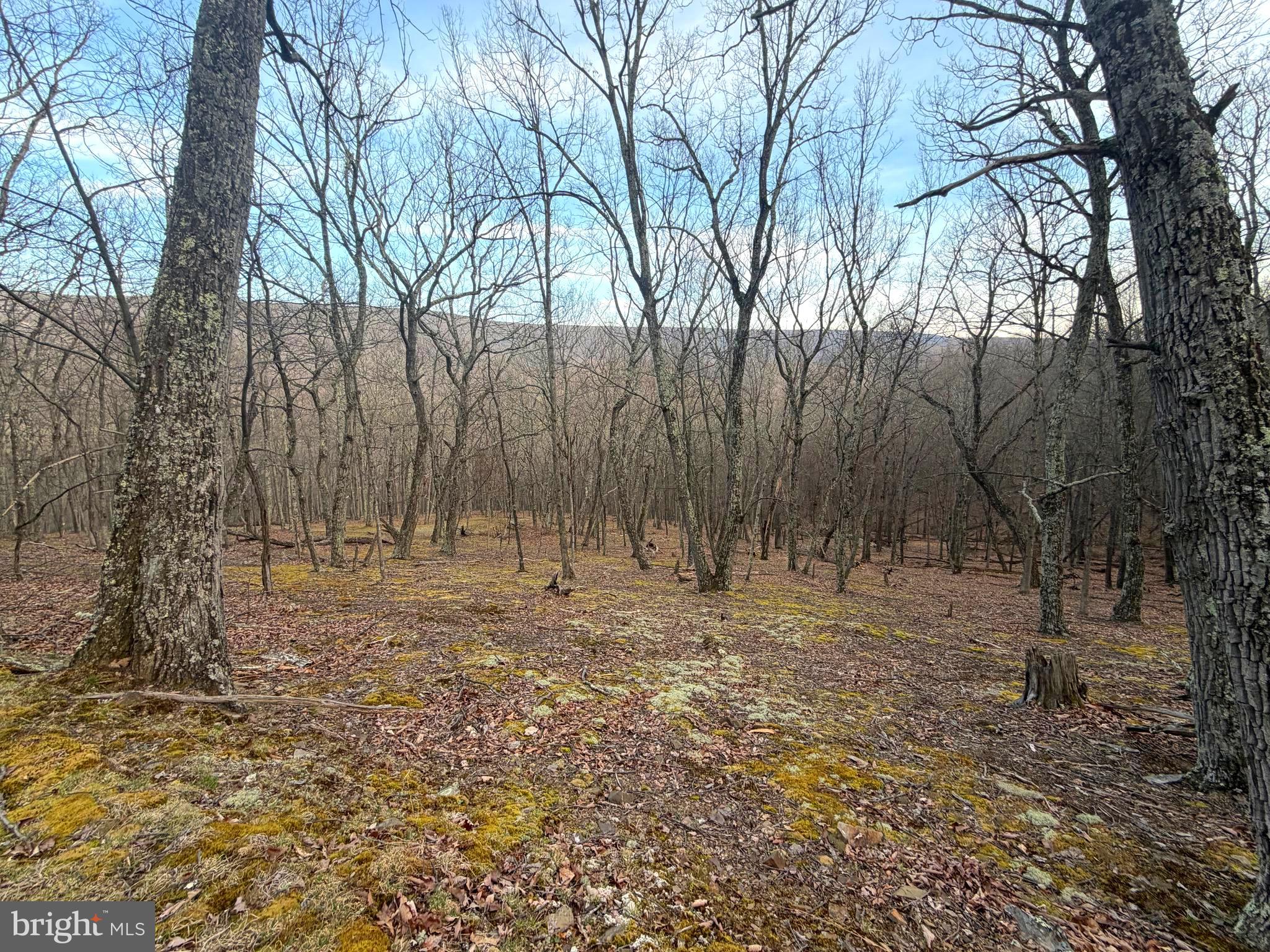 THE PRESERVE AT NEW CREEK LAKE - Land