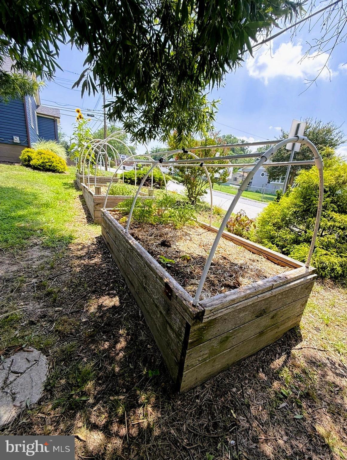 ROSEDALE TERRACE - Residential