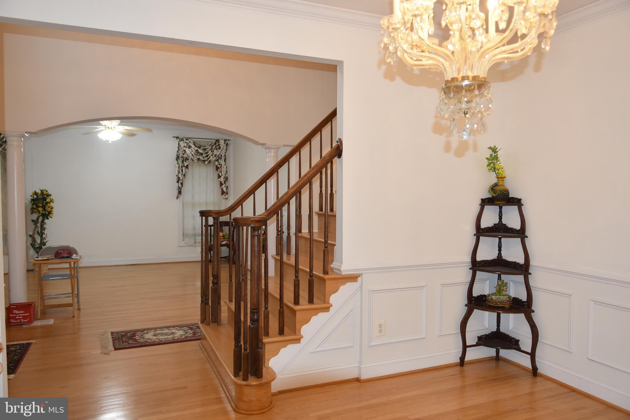 LEWIS PARK - Residential