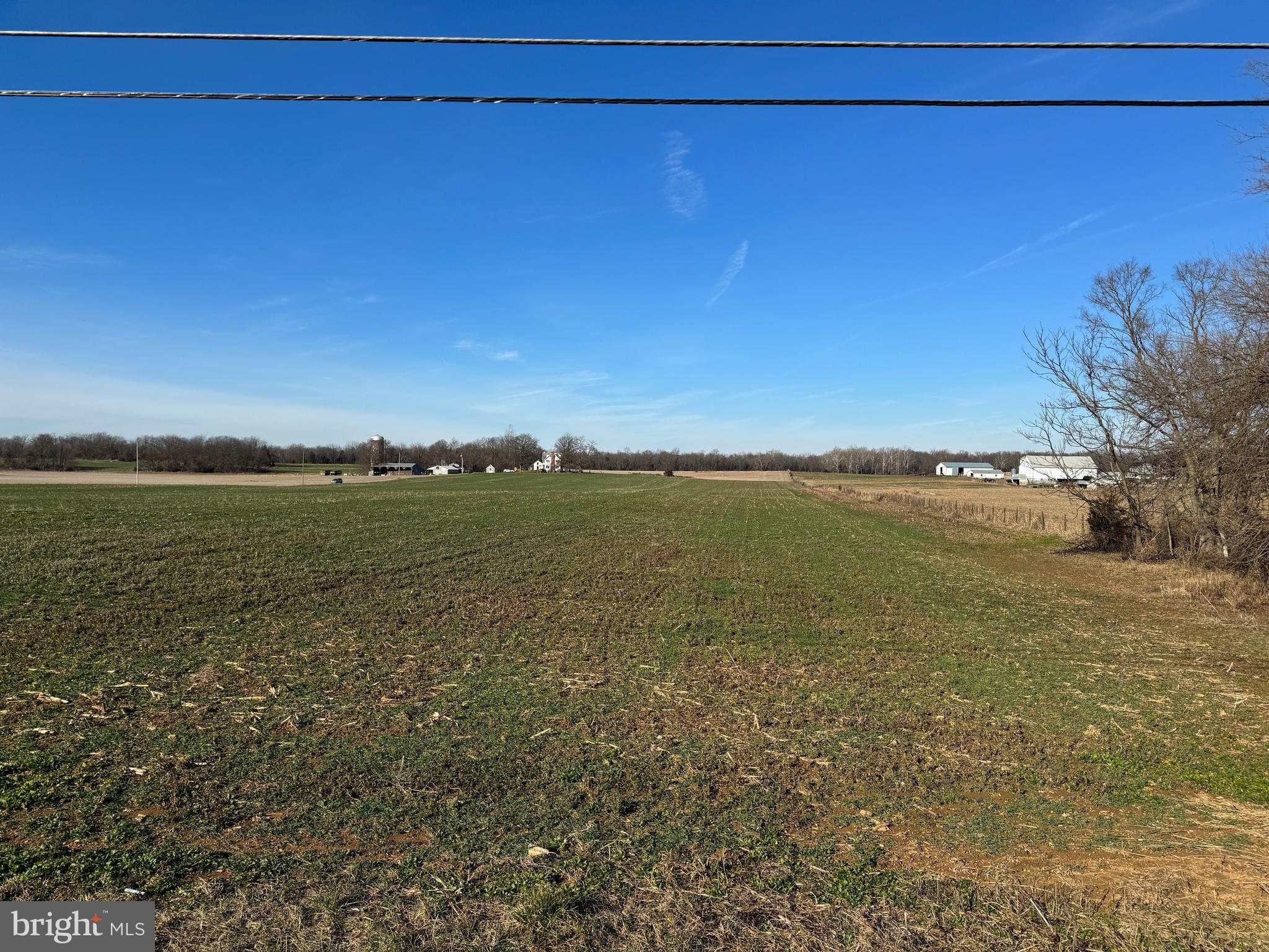 NONE AVAILABLE - Farm