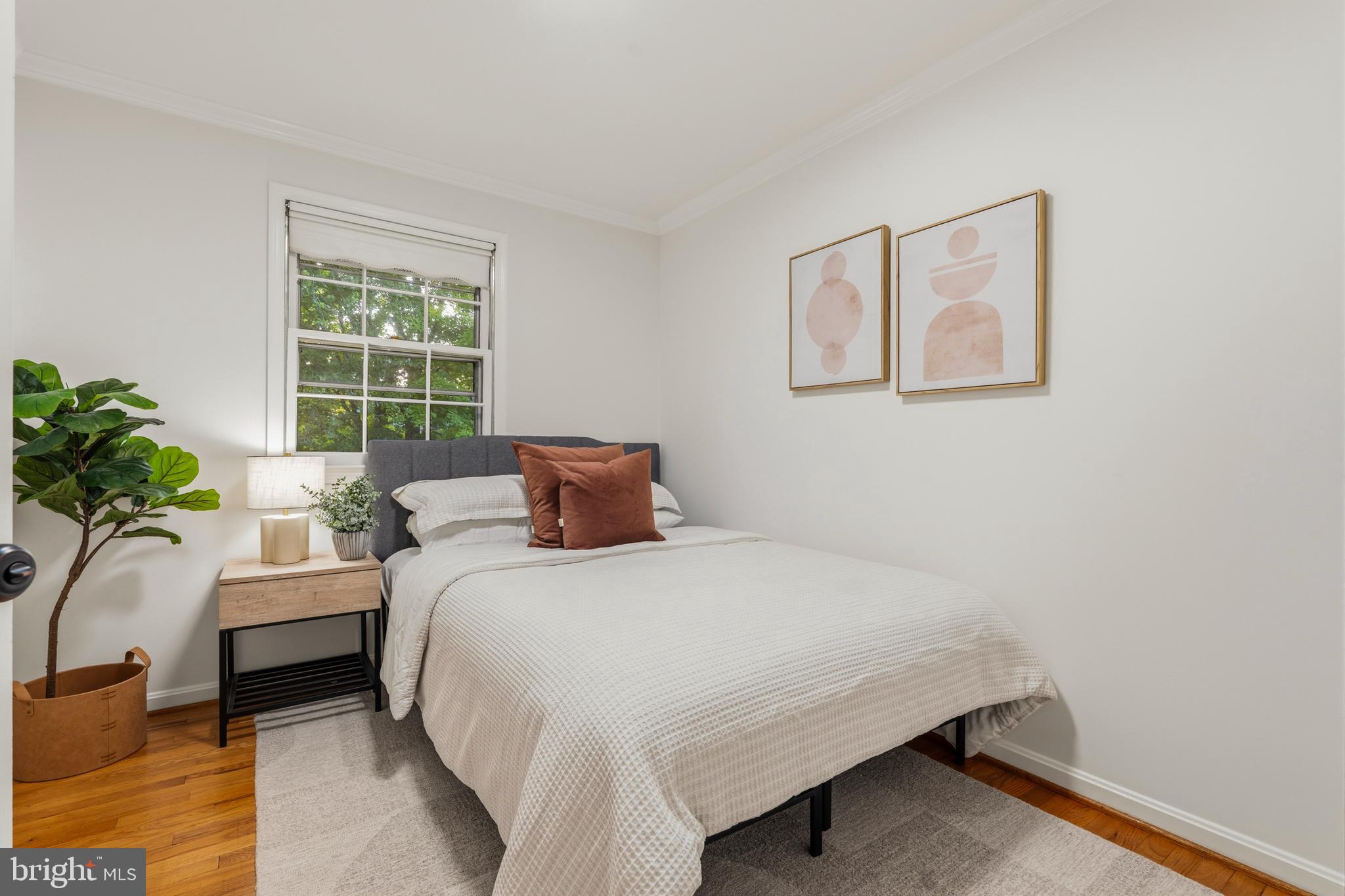 TILDEN WOODS - Residential