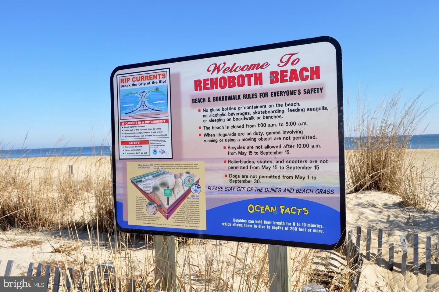 REHOBOTH BEACH - Residential