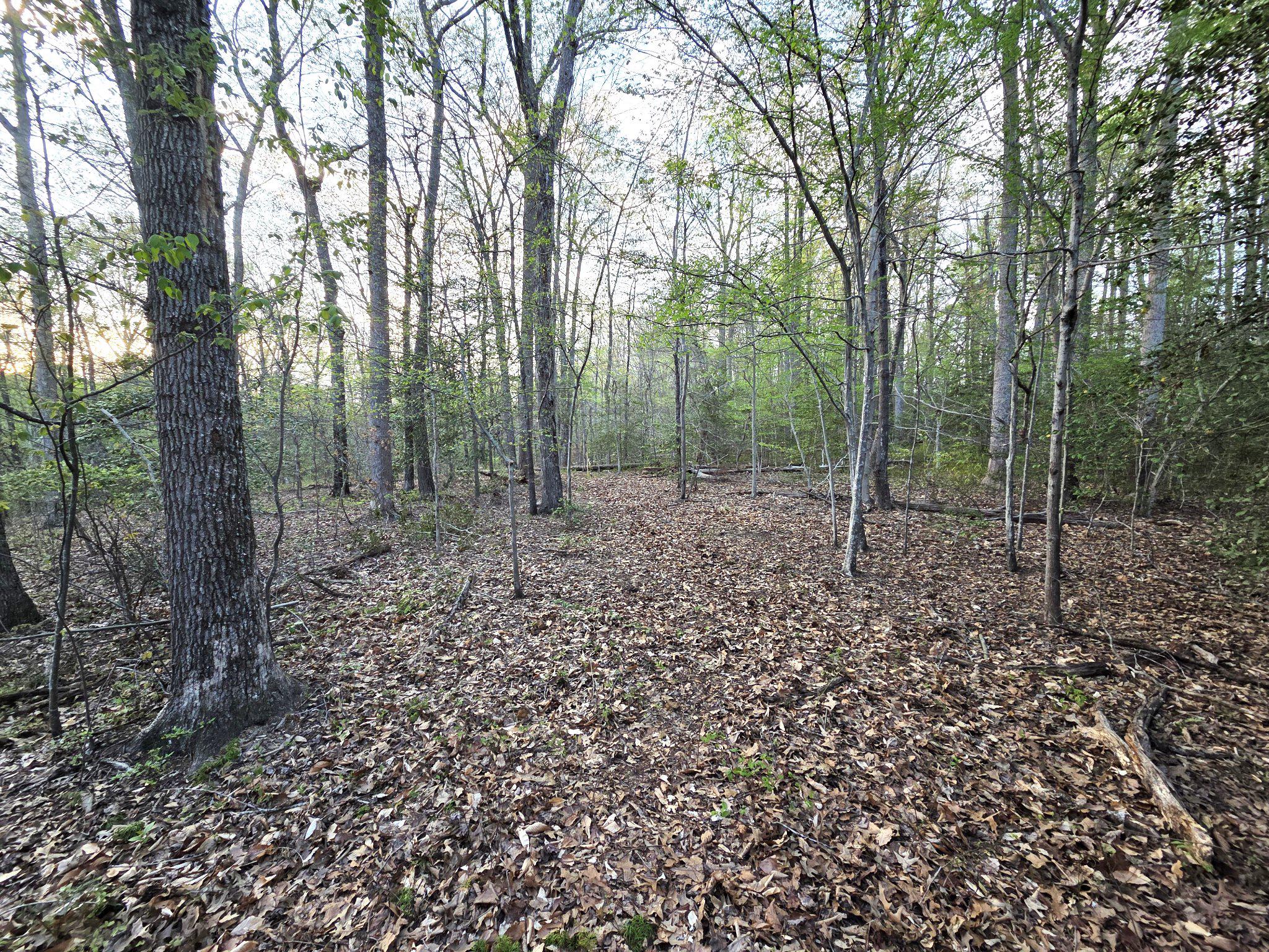 BRING YOUR OWN BUILDER!  2 approved PERCS, one in front allows you build out further in back! Lot is PERC APPROVED for a 5 bedroom house.  Gorgeous 2 acre treed lot close to the South River & the Bay . Surrounded by beautiful million dollar plus homes.  Overlooking a scenic ravine in back & surrounded by a wooded lot. Very beautiful hideaway on a hill in Anne Arundel County!  Davidsonville has quick access to Route 50 and Route 97 for commuting to Washington, D.C., Annapolis, the Fort Meade area, Baltimore, the Naval Academy, the Anne Arundel County Medical Center, BWI Airport & more!