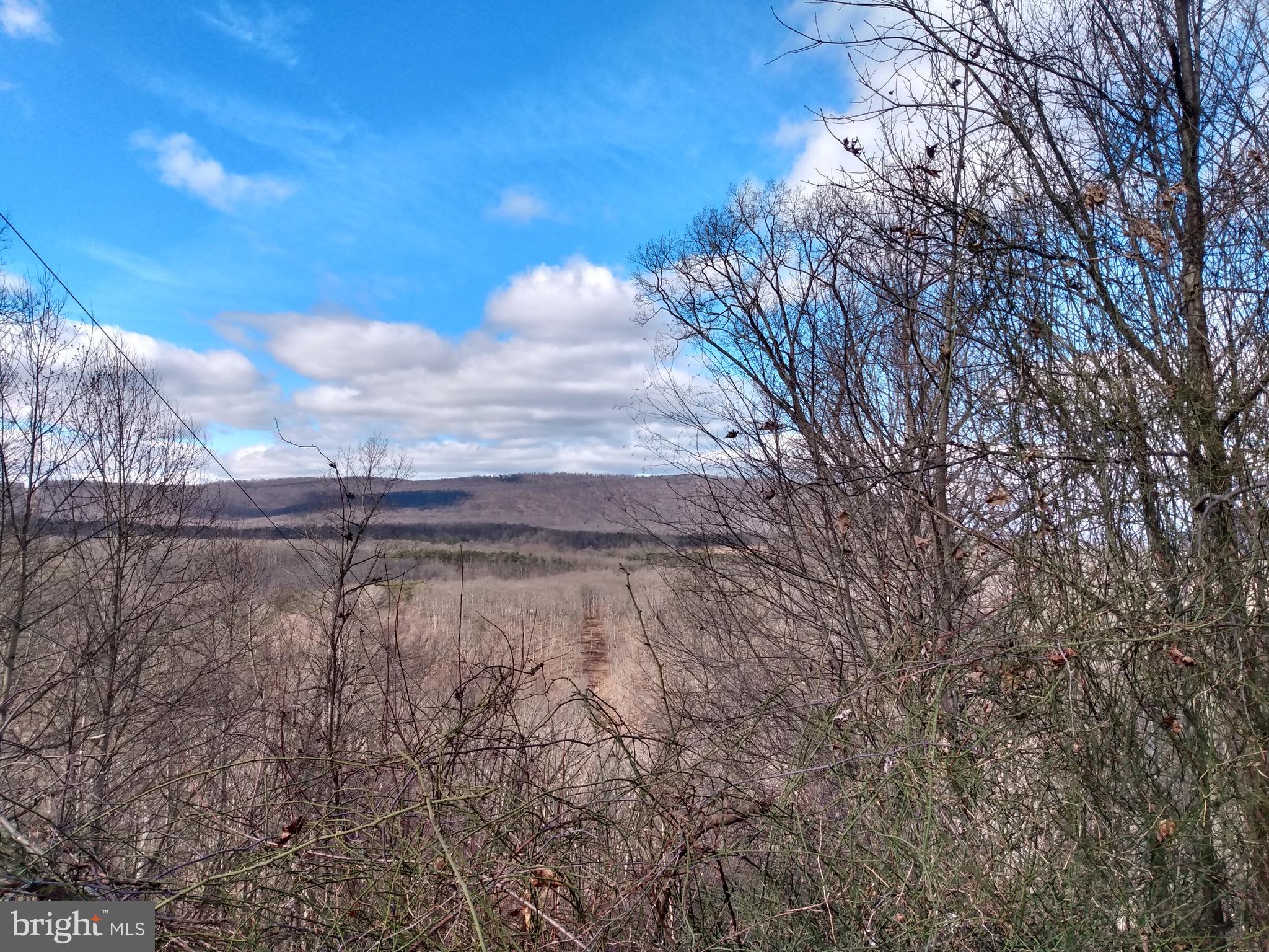LONG HOLLOW - Land