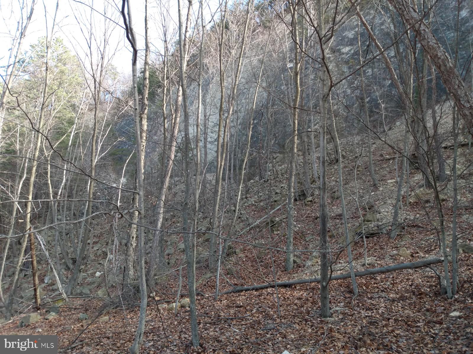 LONG HOLLOW - Land