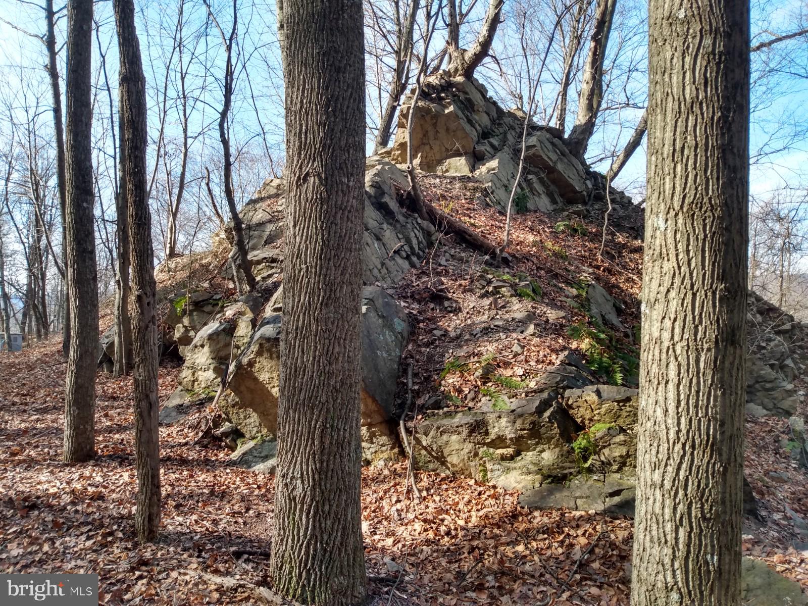 LONG HOLLOW - Land