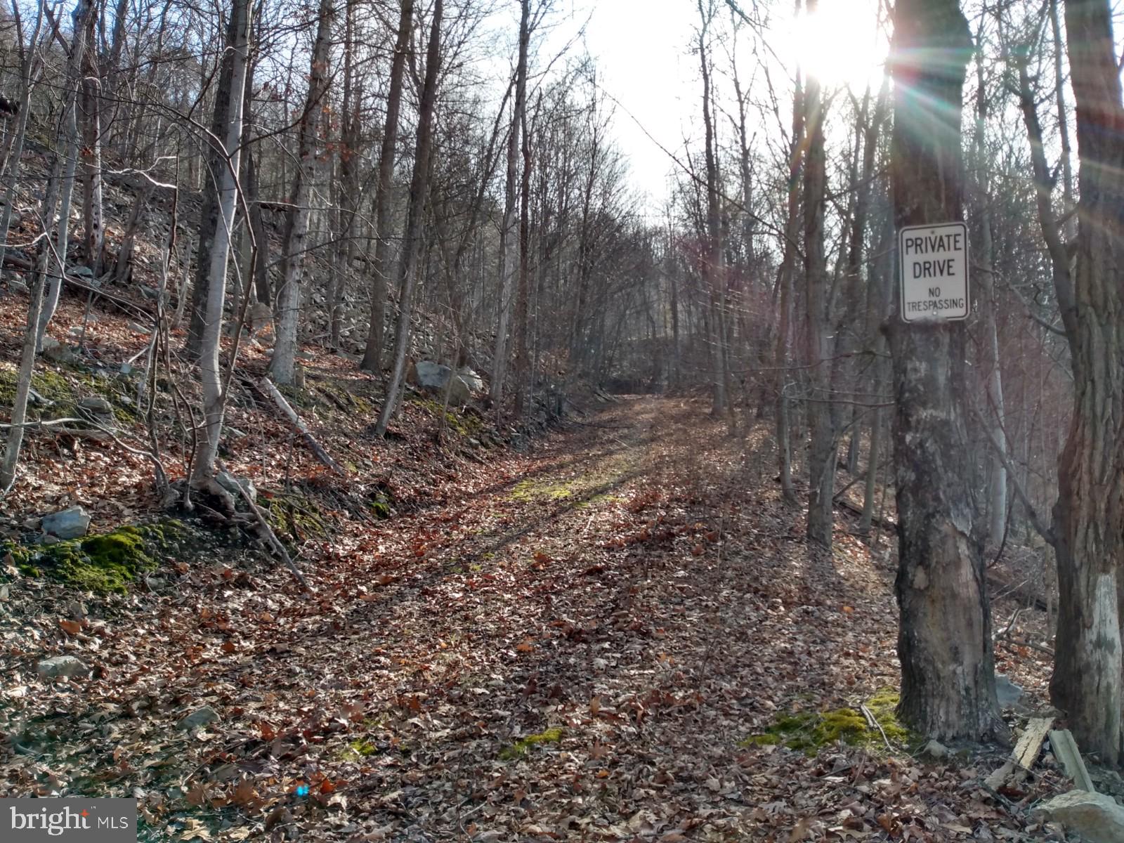 LONG HOLLOW - Land