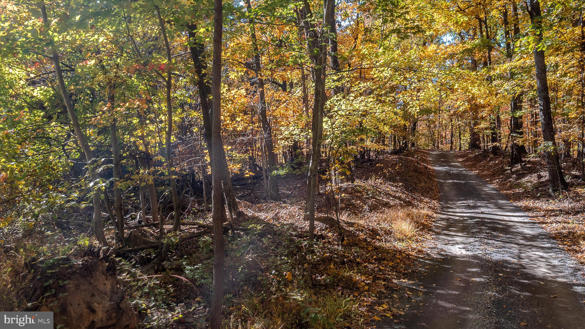 TUSCARORA PIKE - Land