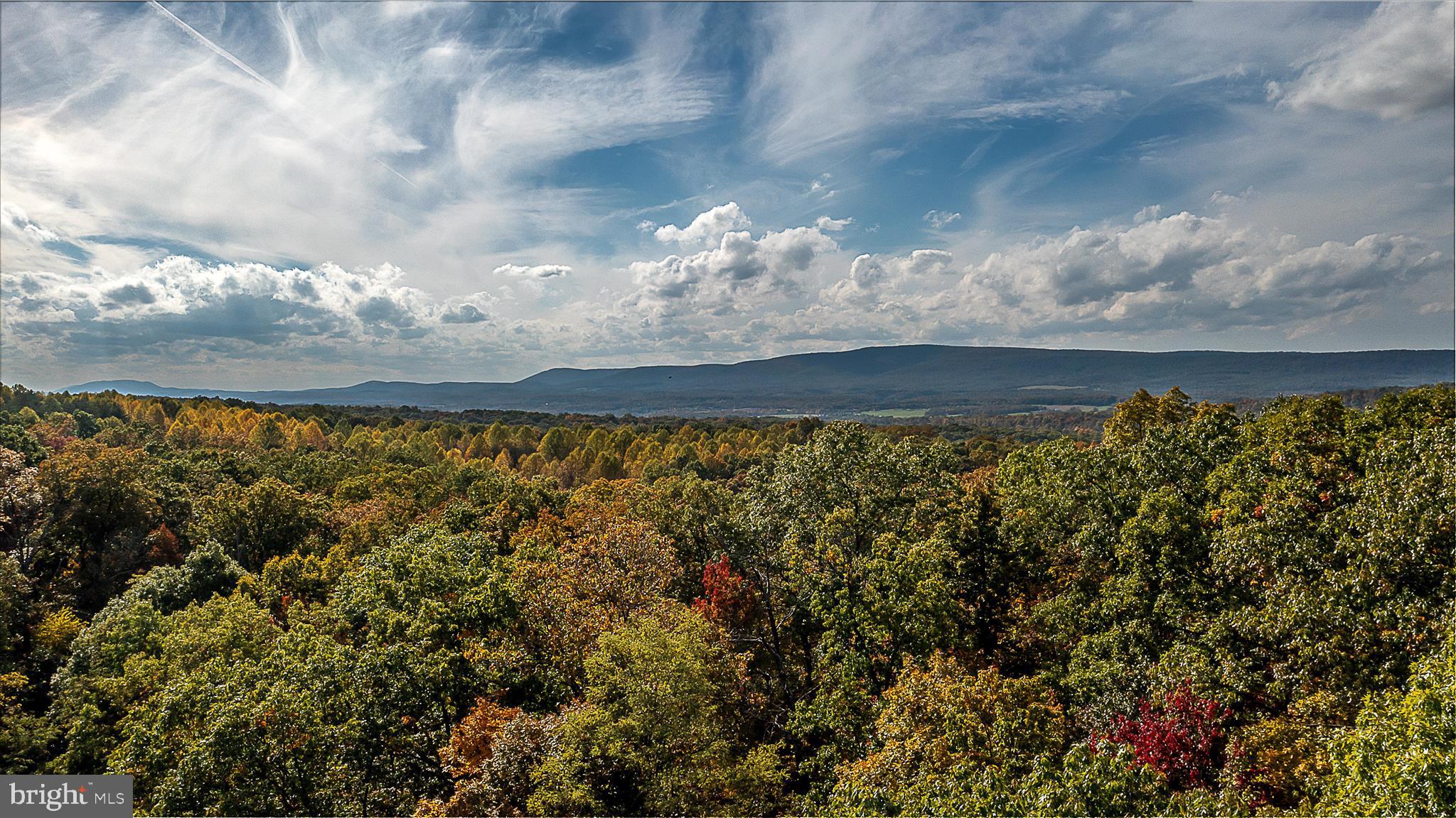TUSCARORA PIKE - Land