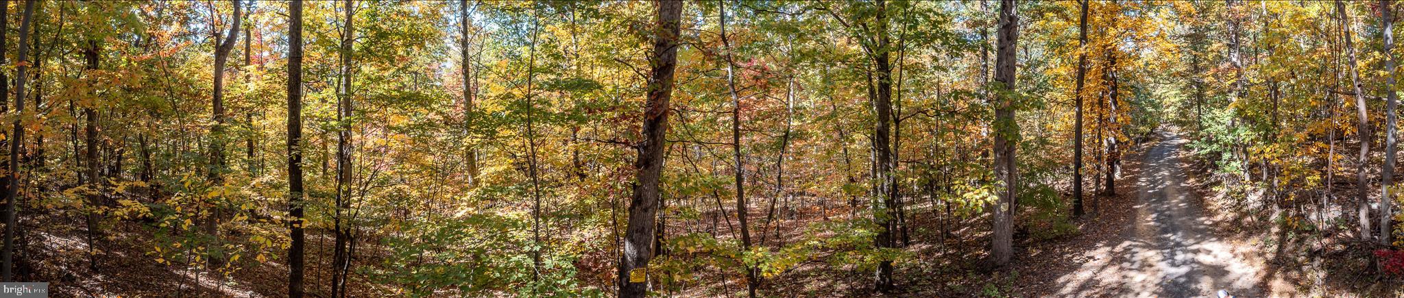 TUSCARORA PIKE - Land