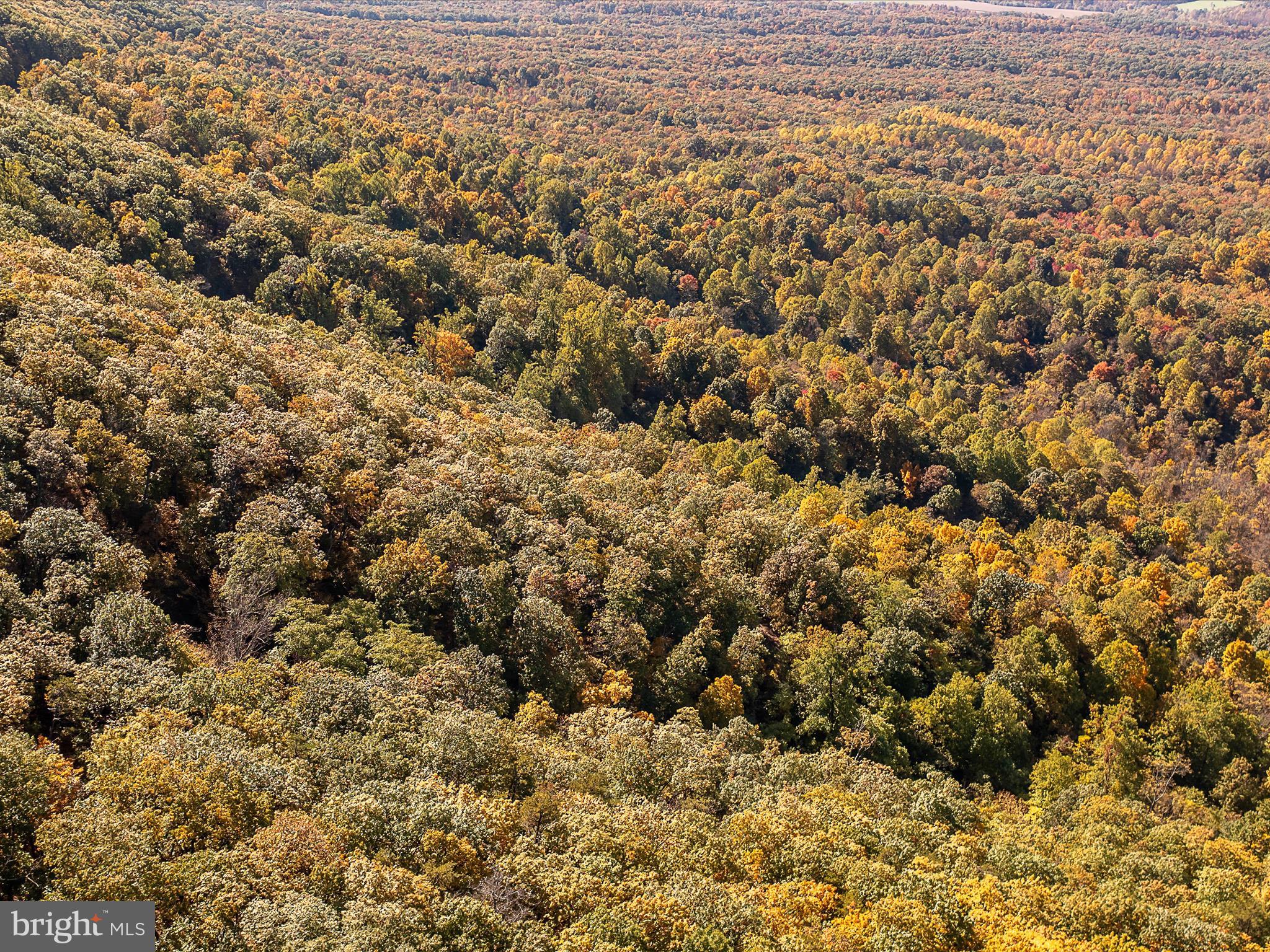 TUSCARORA PIKE - Land