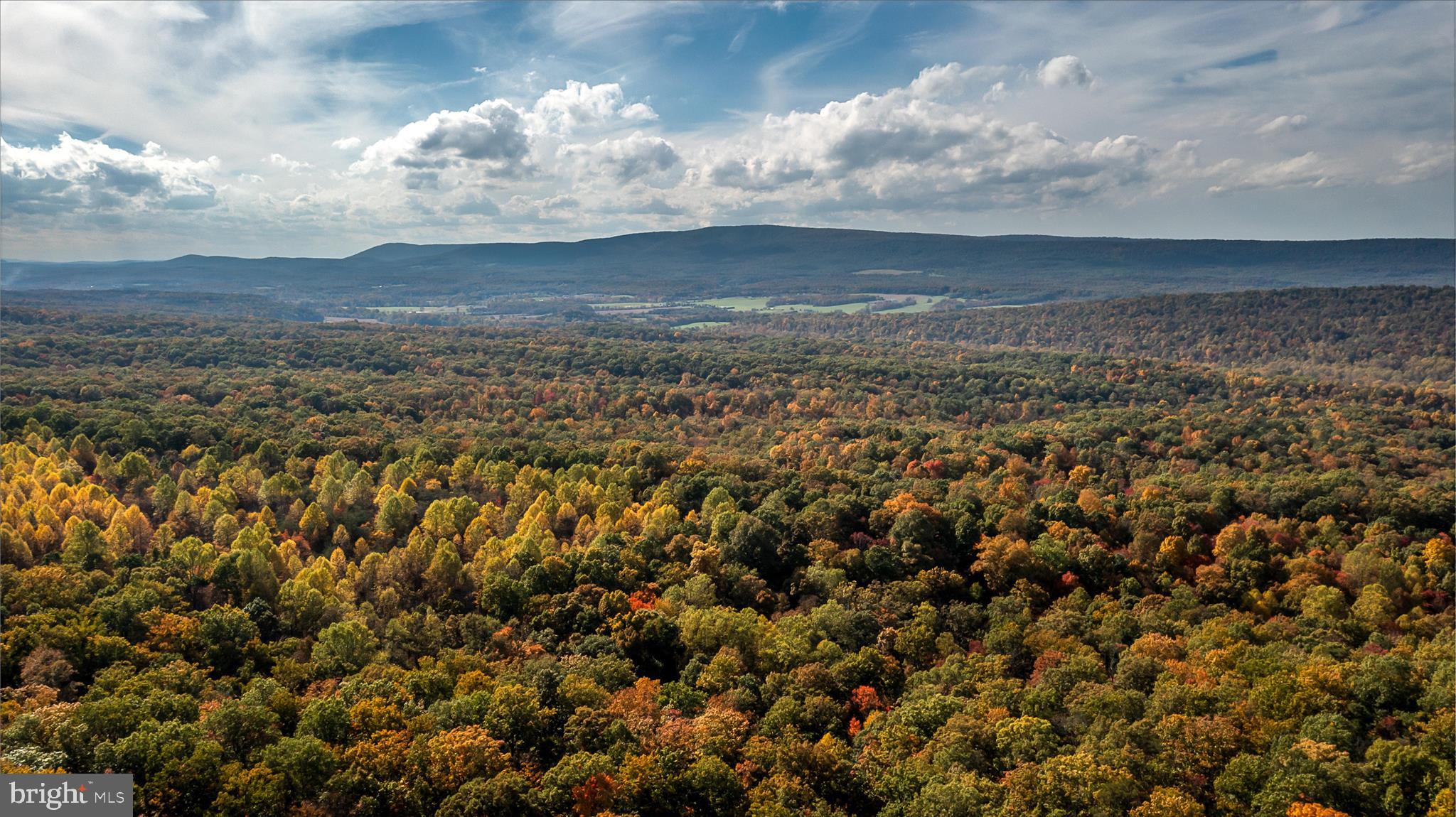 TUSCARORA PIKE - Land