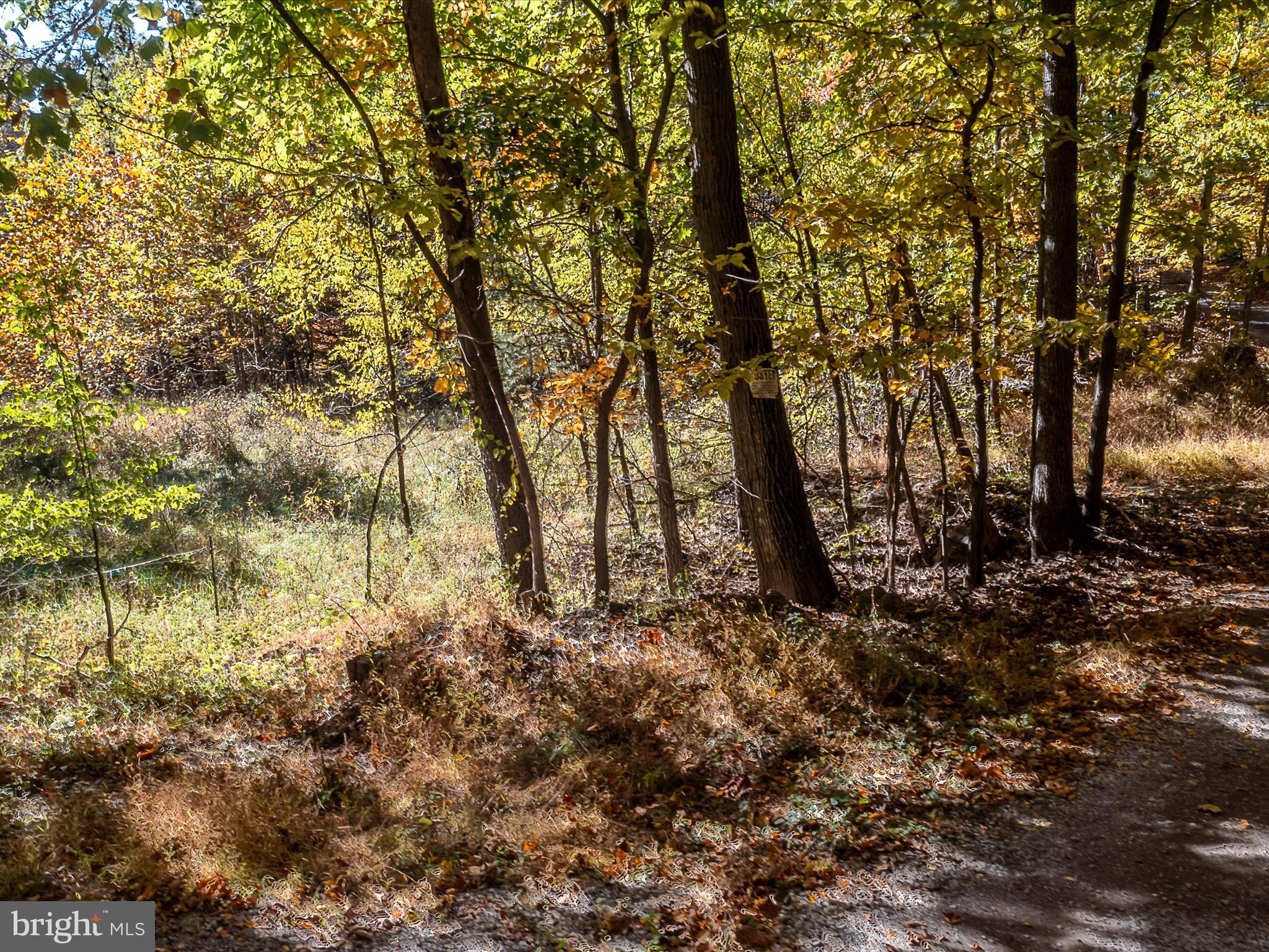 TUSCARORA PIKE - Land