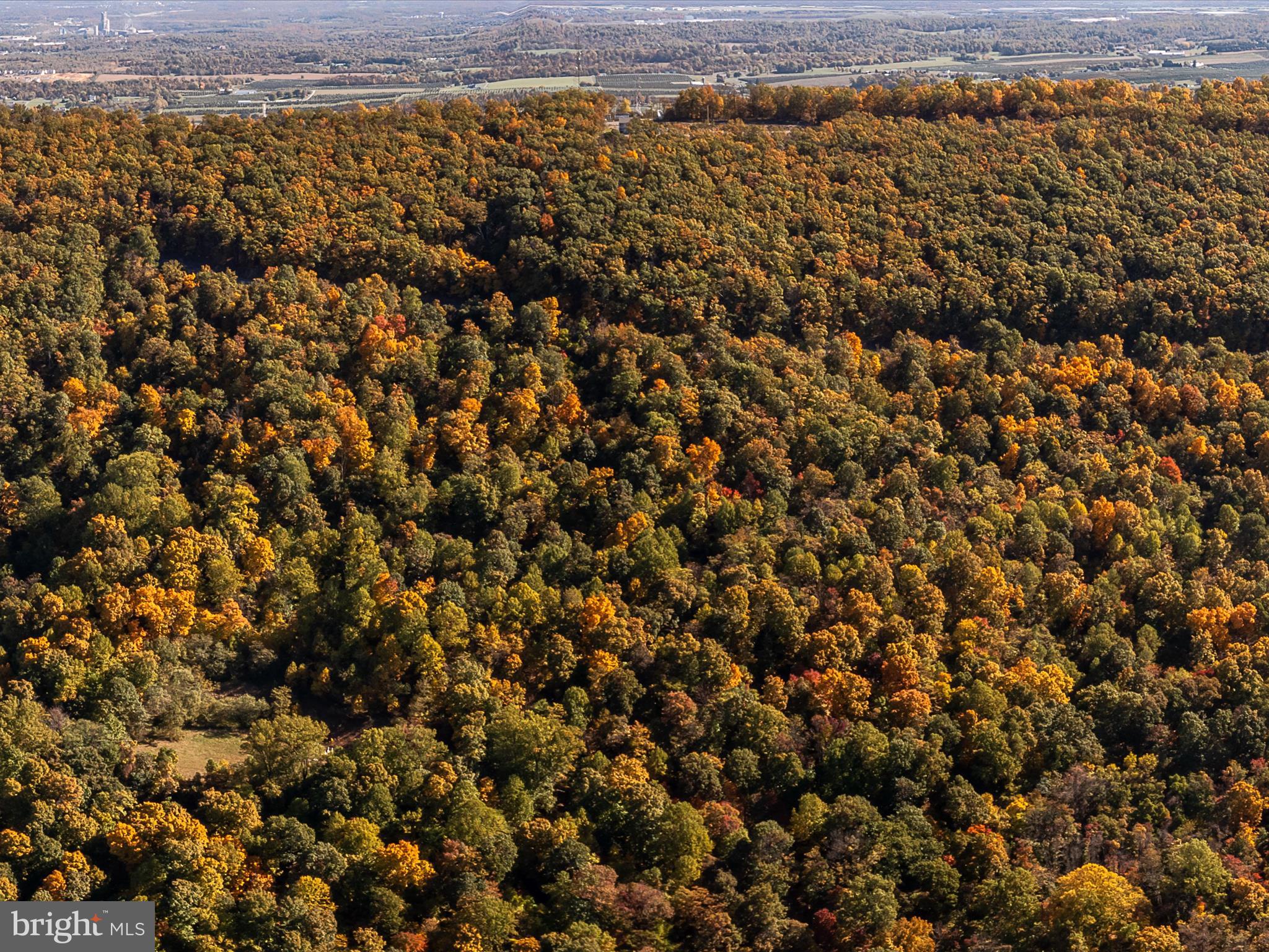 TUSCARORA PIKE - Land
