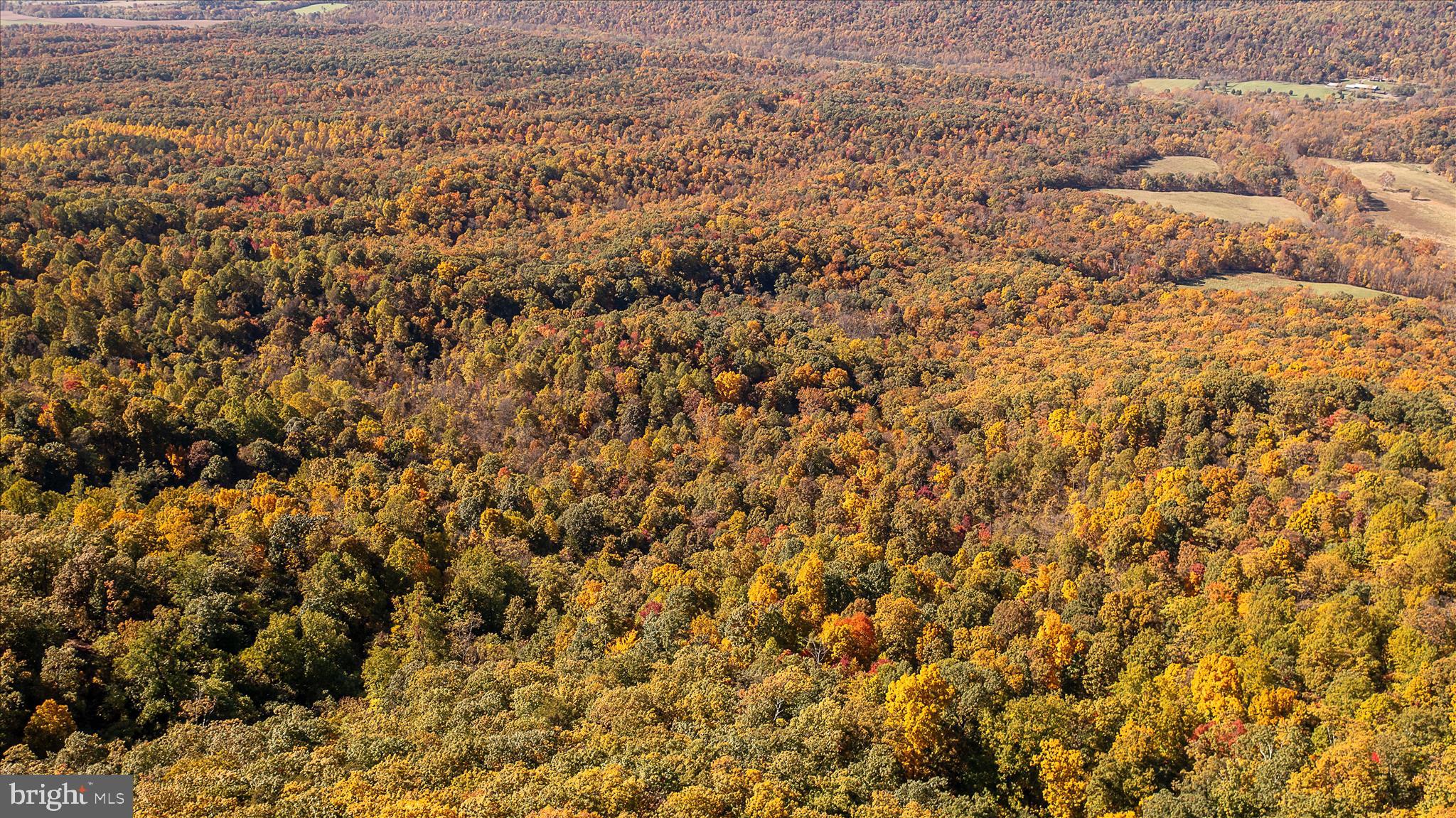 TUSCARORA PIKE - Land