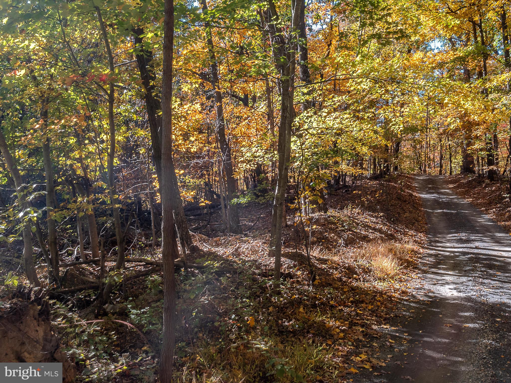 TUSCARORA PIKE - Land