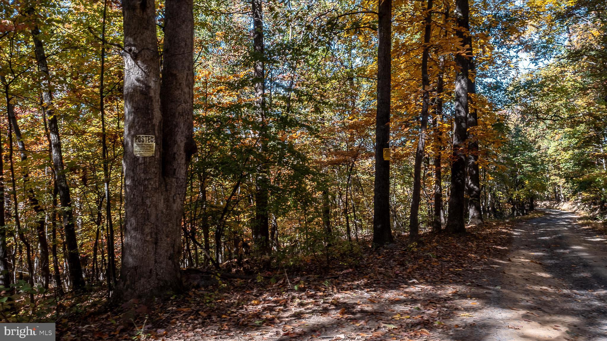 TUSCARORA PIKE - Land
