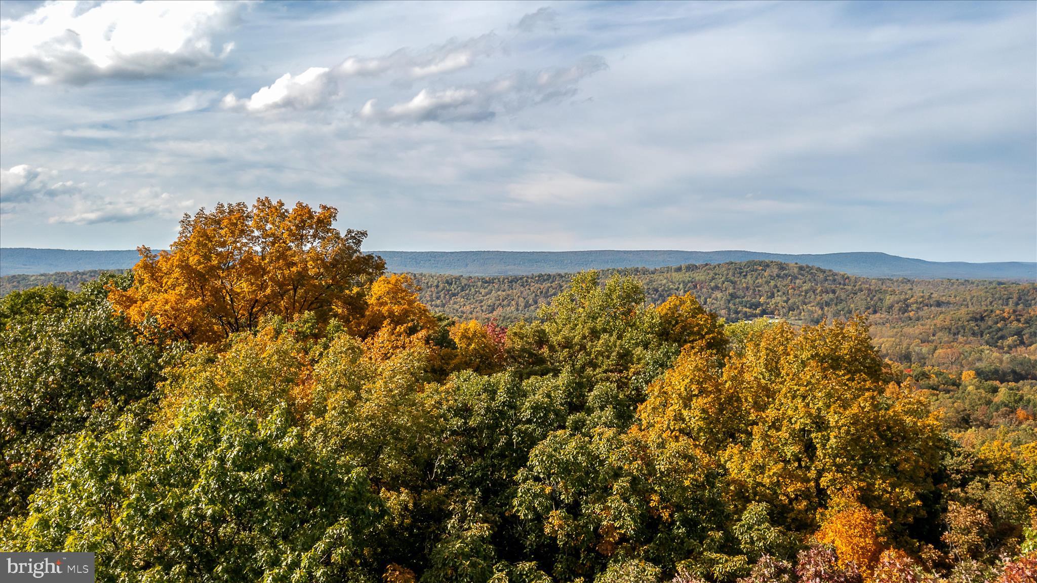 TUSCARORA PIKE - Land