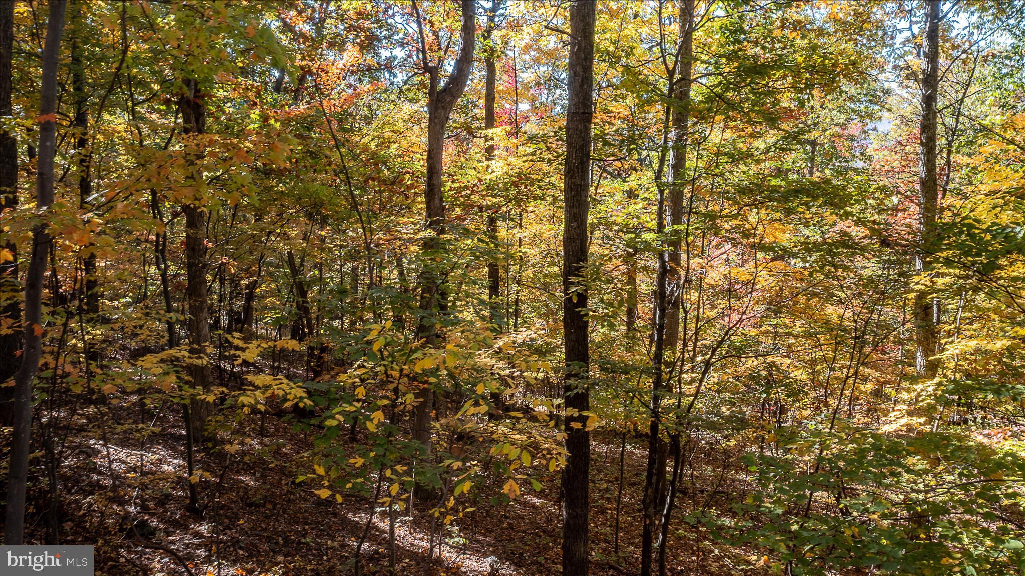 TUSCARORA PIKE - Land