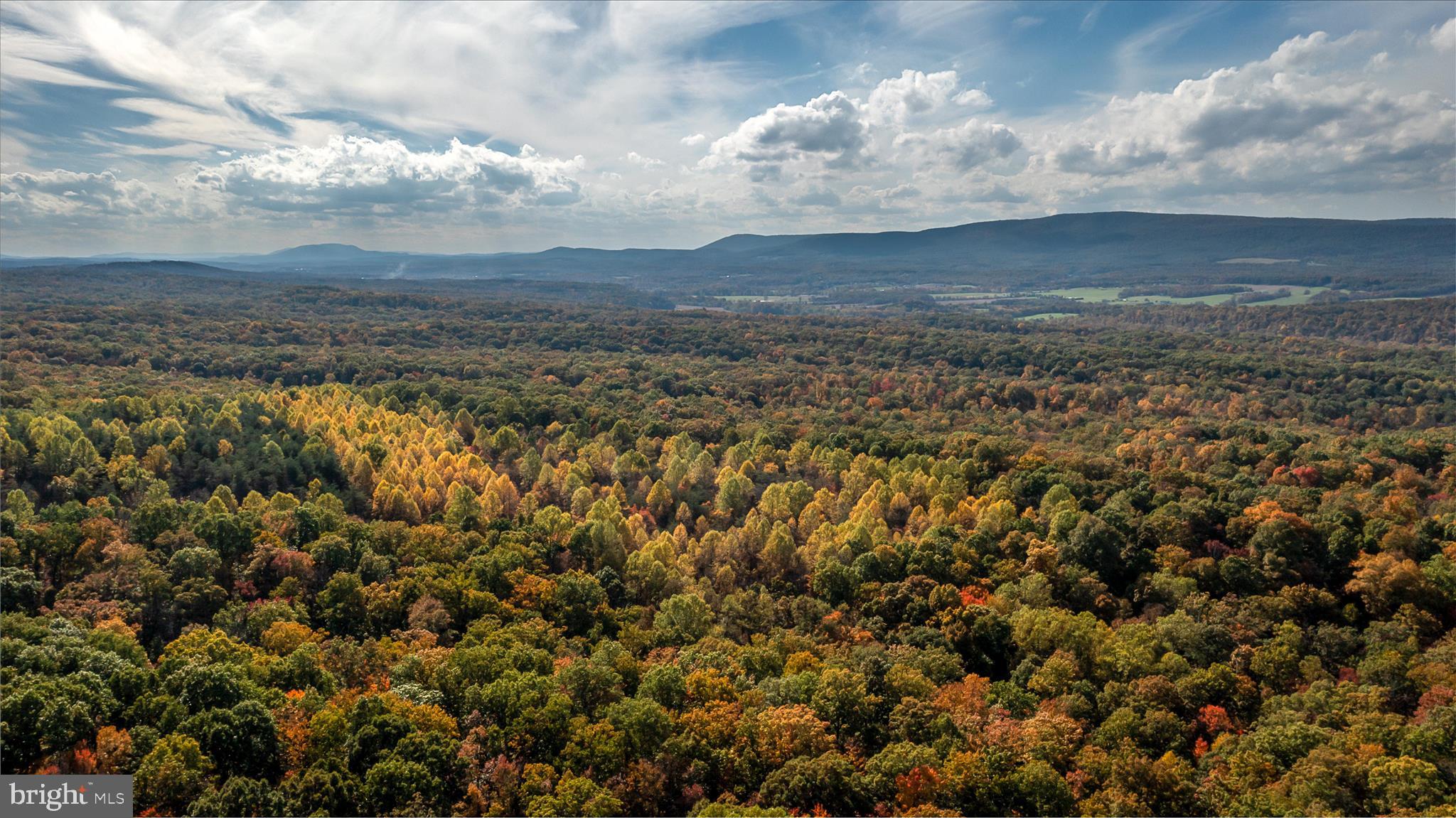 TUSCARORA PIKE - Land