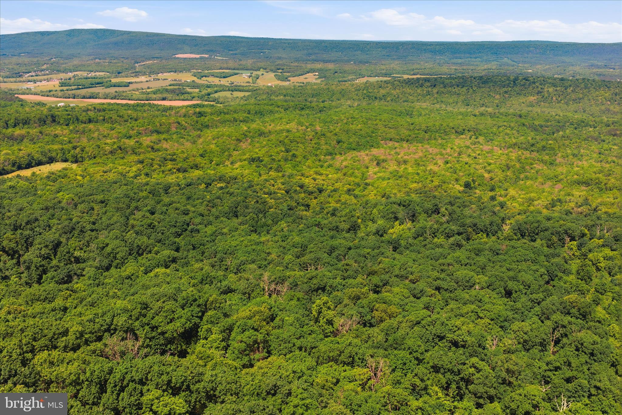TUSCARORA PIKE - Land