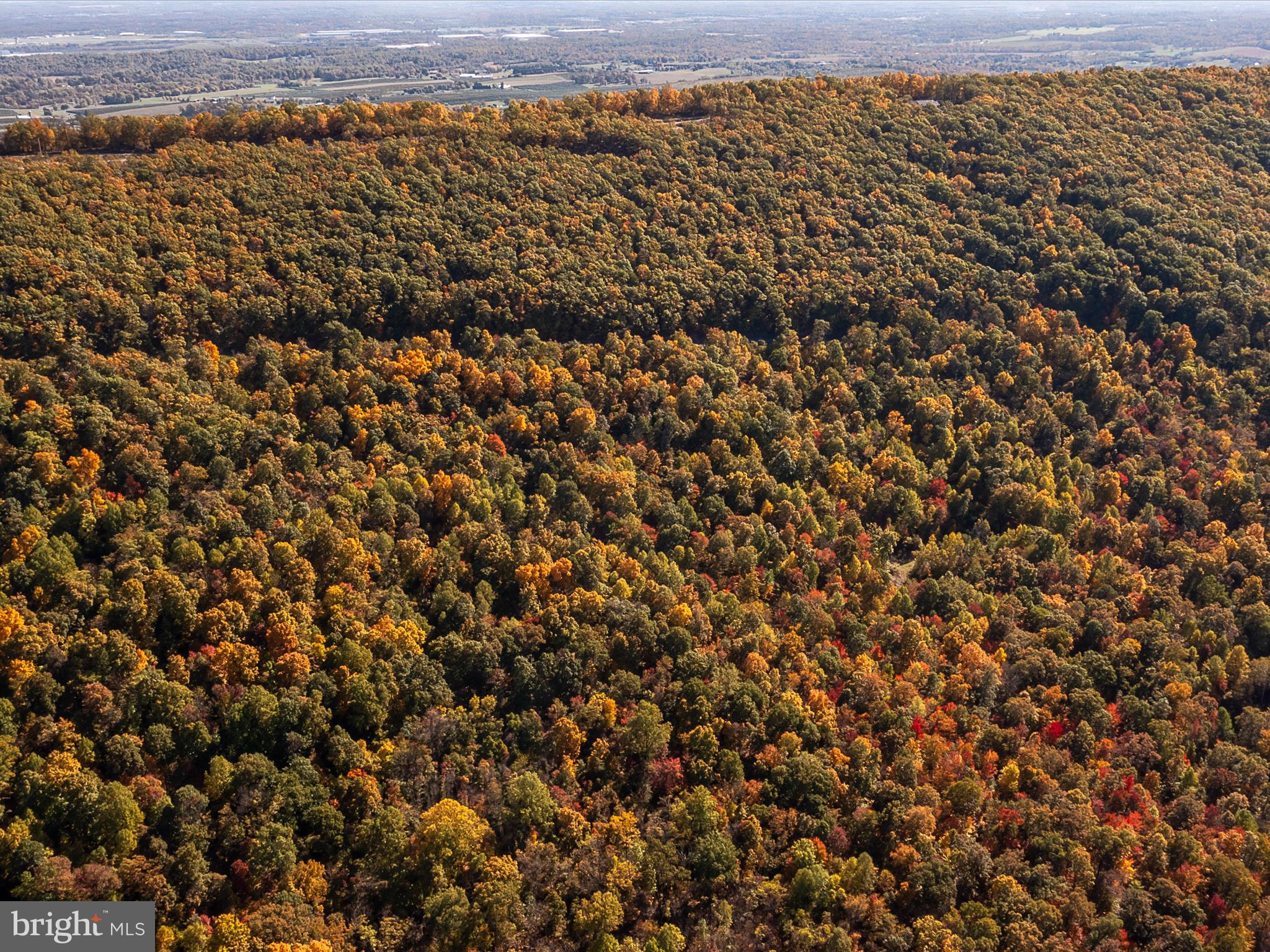 TUSCARORA PIKE - Land