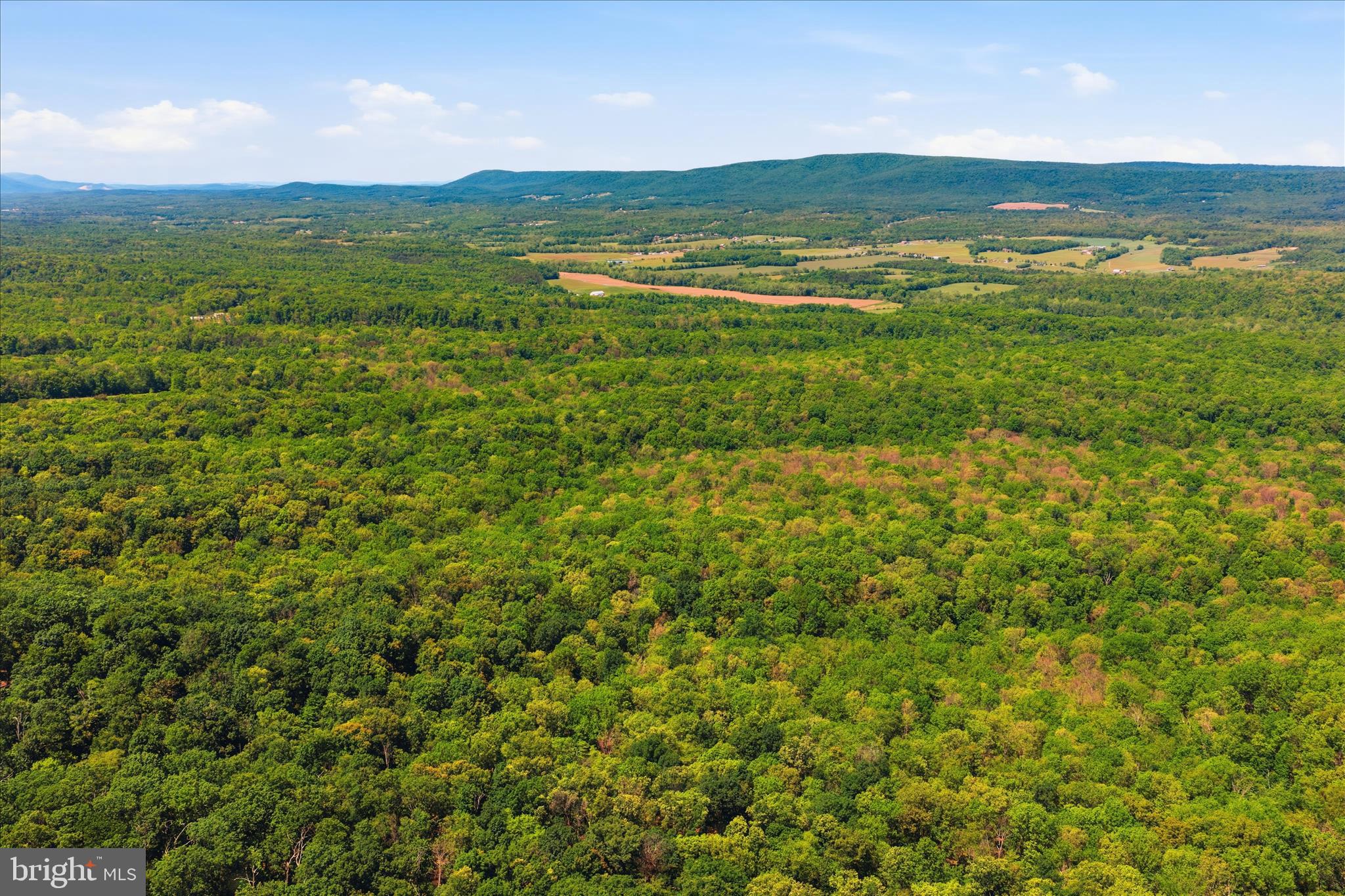 TUSCARORA PIKE - Land