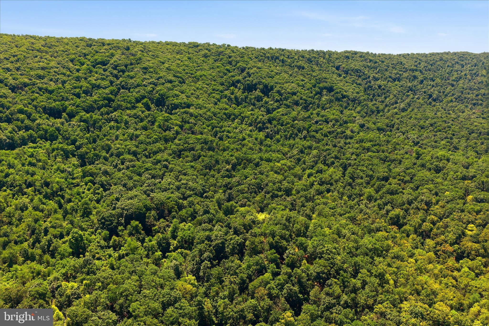 TUSCARORA PIKE - Land