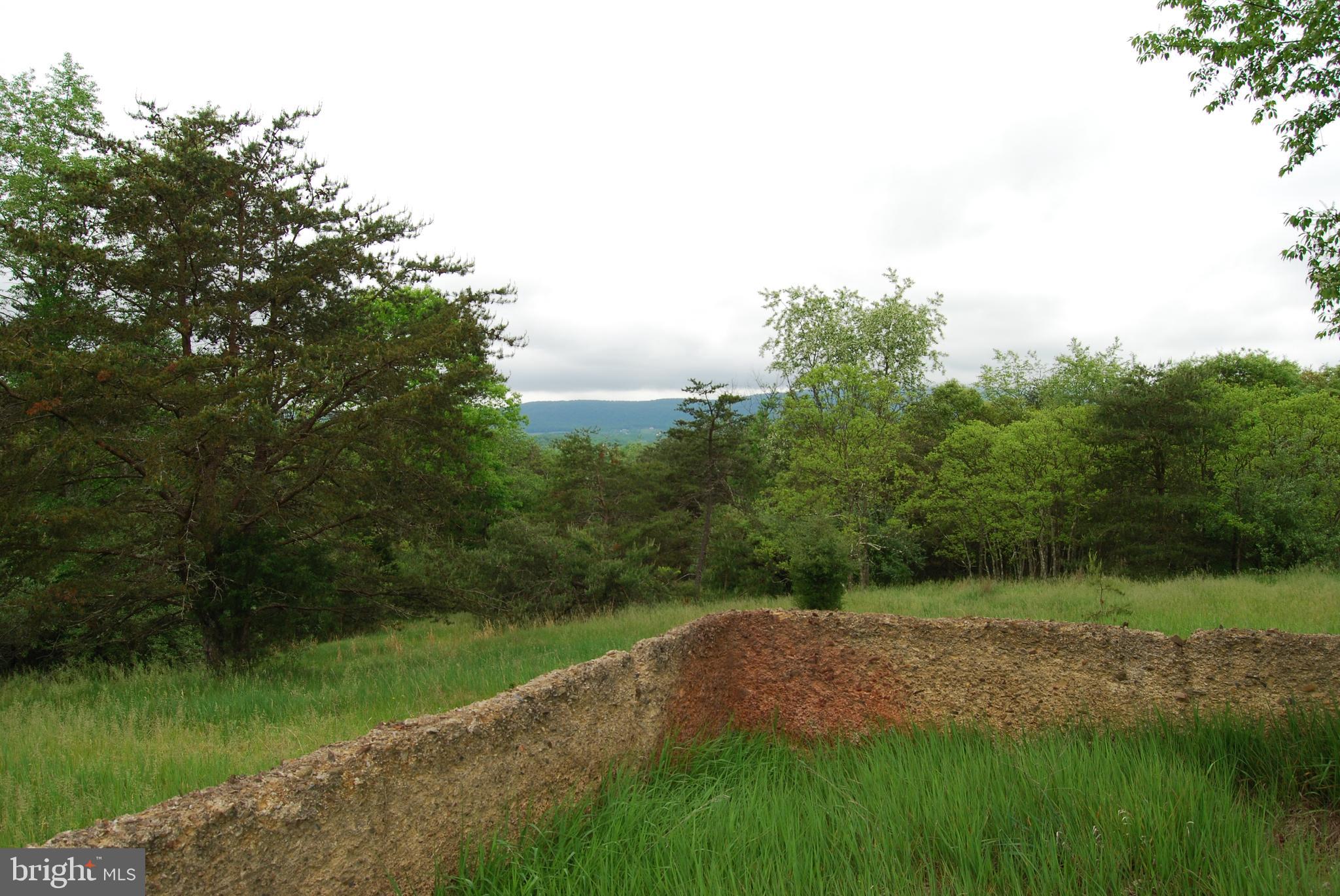 This is the hidden gem within Berkeley County. With a secluded driveway and surrounded by forest, you are sure to feel like you are in the middle of your own piece of paradise. The long driveway travels up through the cedars and pines making you feel as if you are in a tunnel that opens up to a beautiful homesite. Once on top you can see for miles down the valley and over to the mountains across the way.  With some clearing you could truly have a postcard worthy view right out your window. Much of the property is thick vegetation that holds many different types of wildlife. A long the southern edge of the property there is mature timber and a intermittent stream that meanders through the property.

Old well and septic are sold in AS-IS condition.