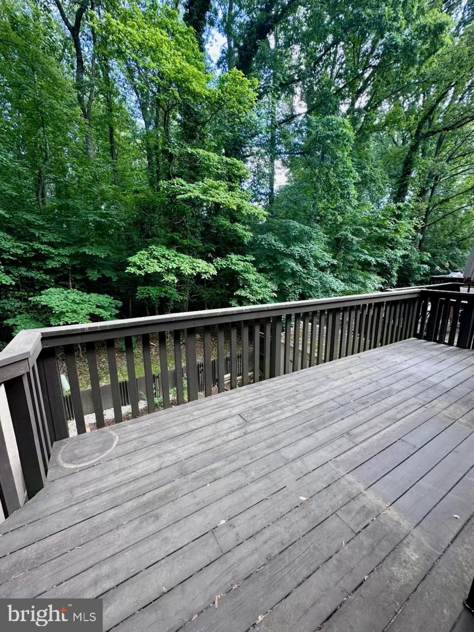 RESTON - Residential Lease