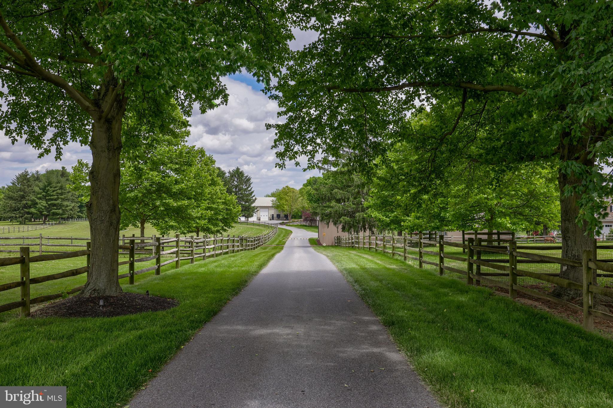 MOUNT JOY - Farm