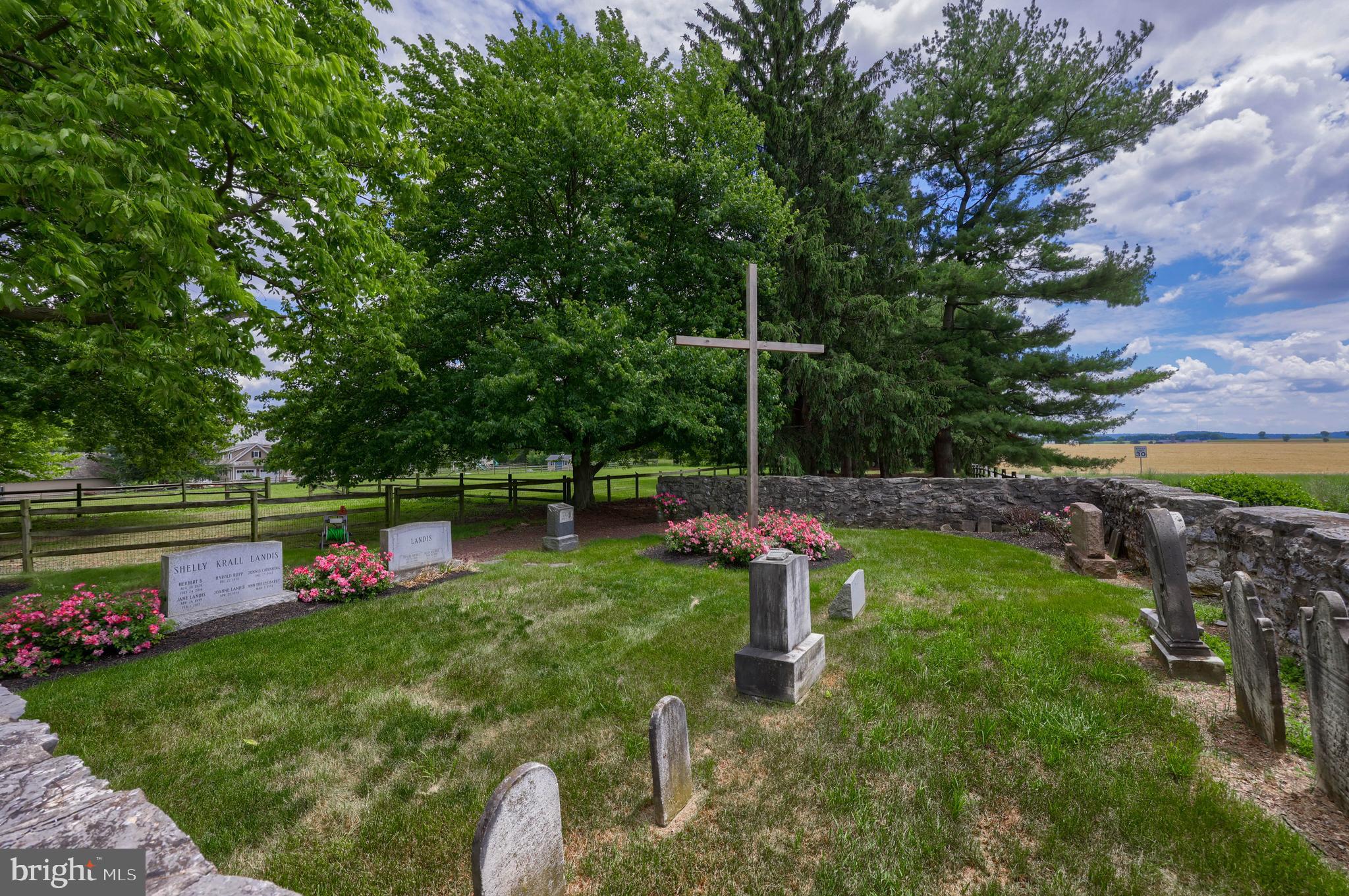 MOUNT JOY - Farm