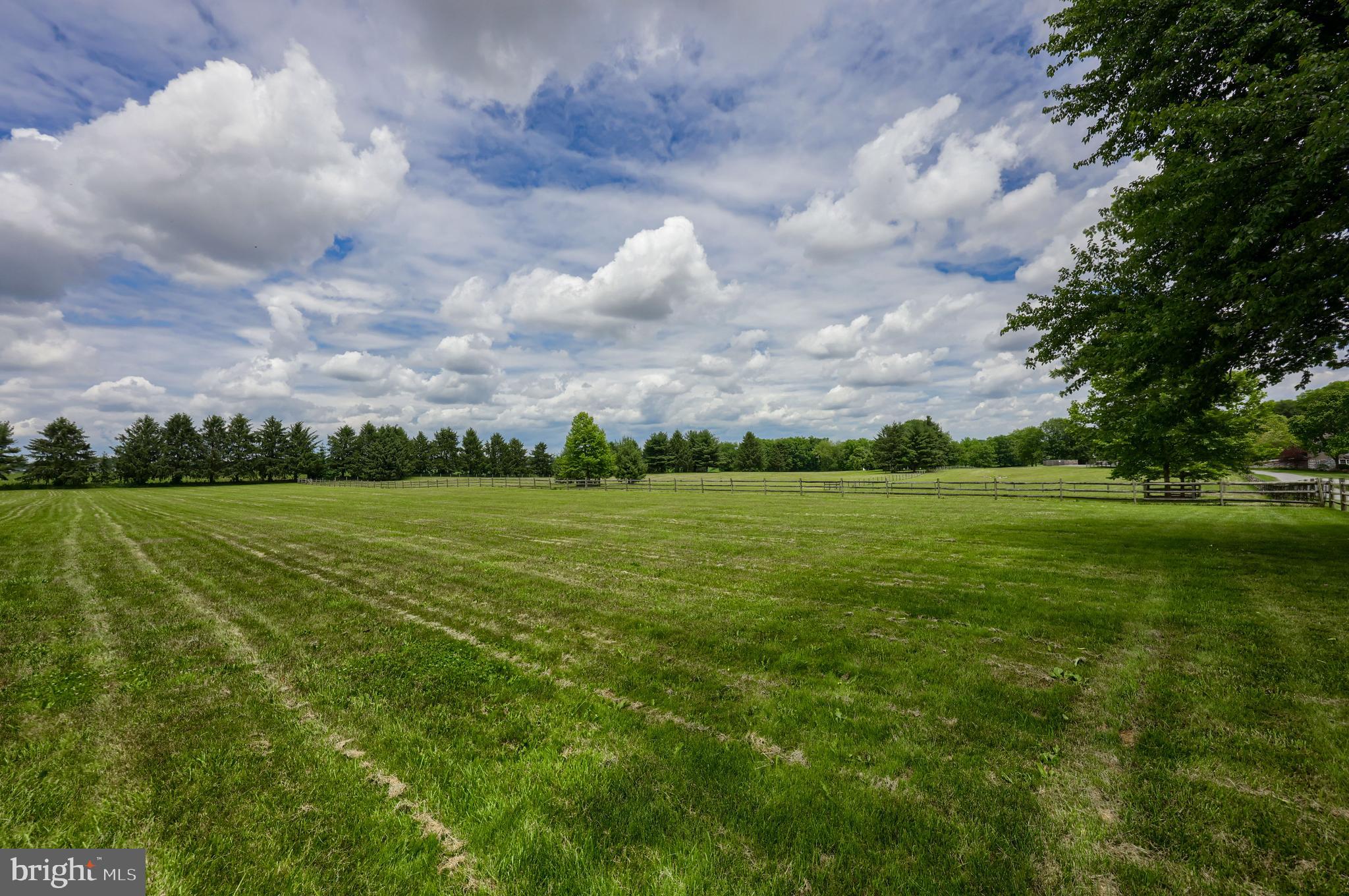 MOUNT JOY - Farm